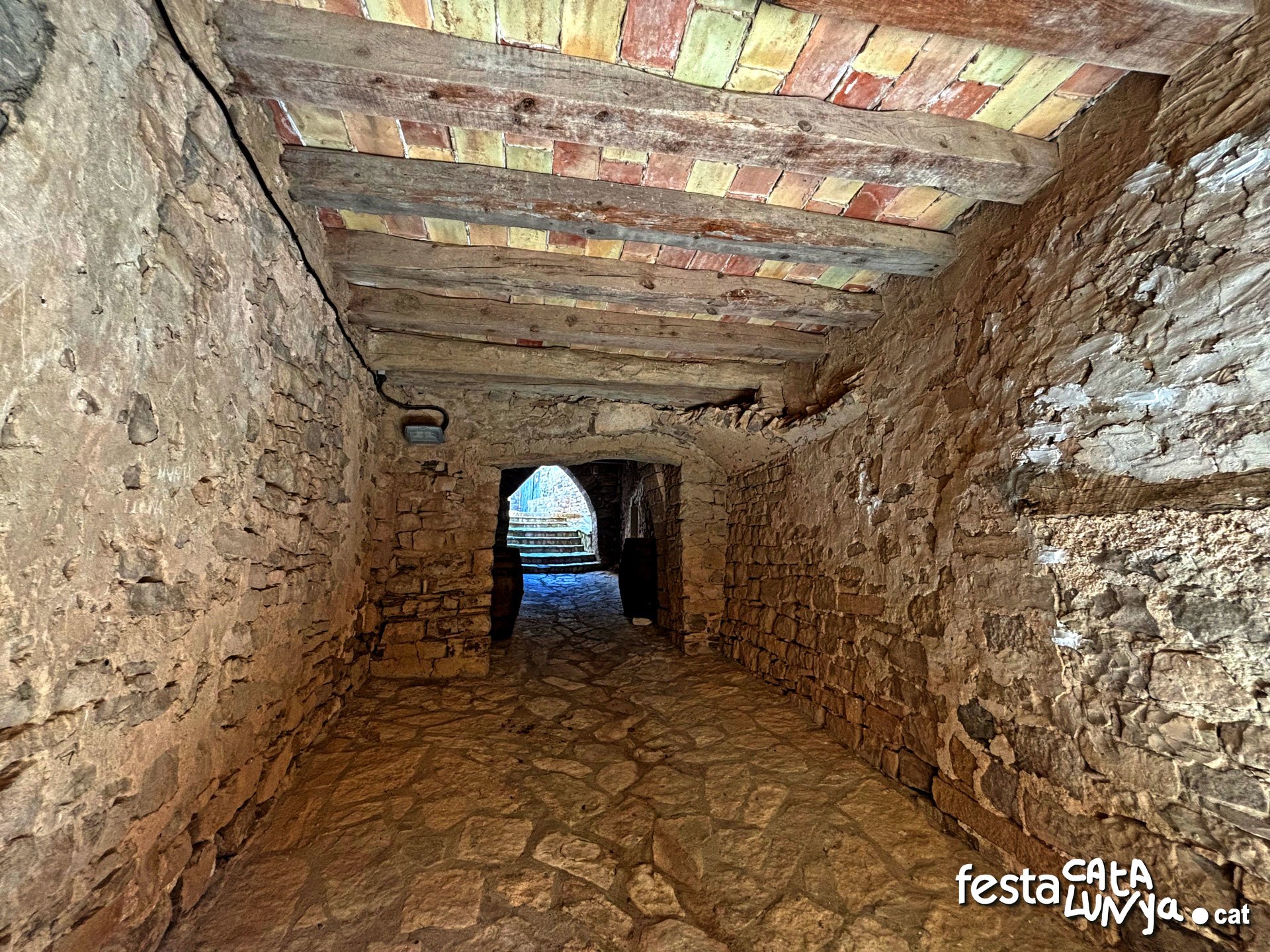 Passejada pel poble - Montoliu de Segarra