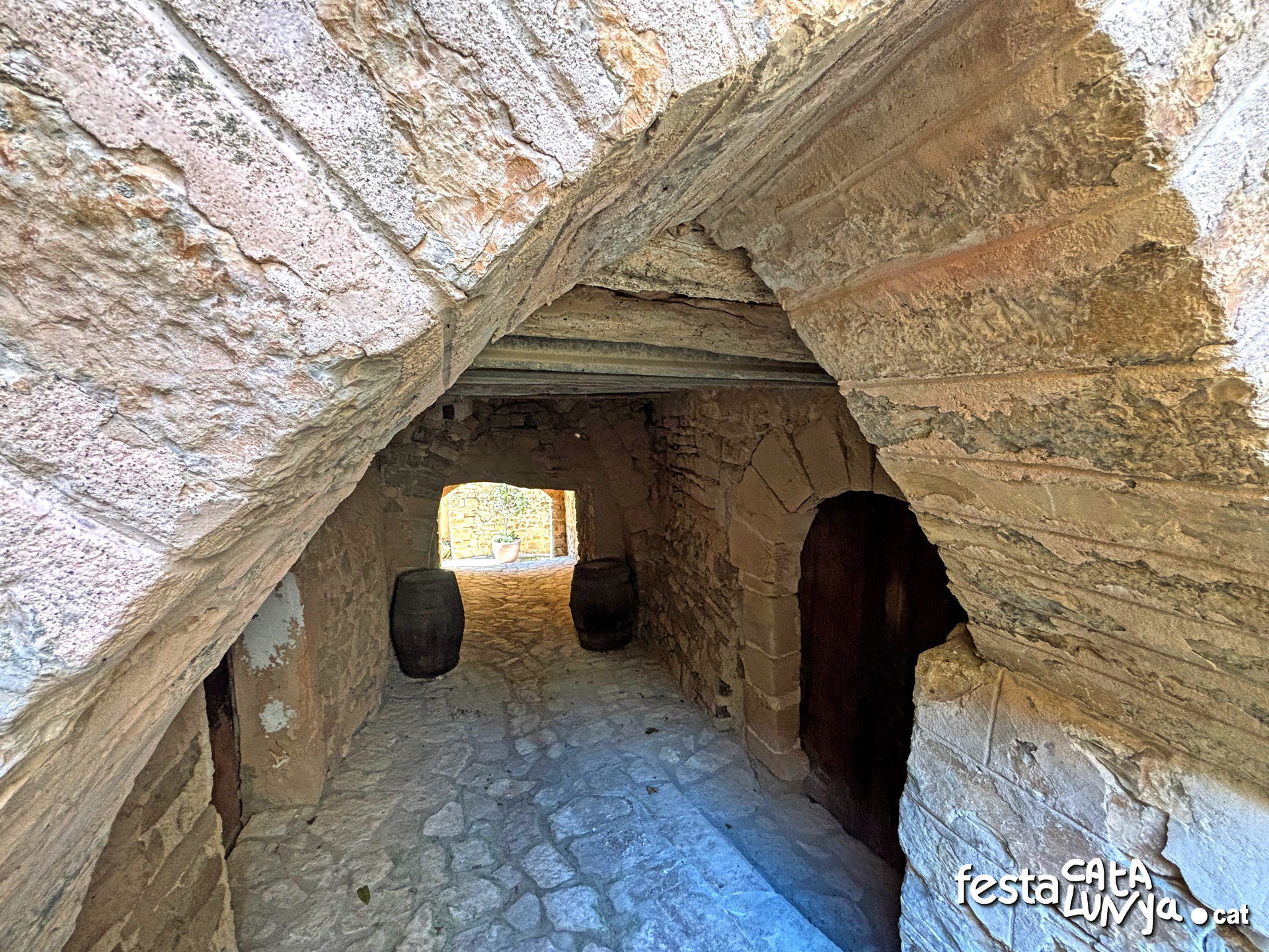 Passejada pel poble - Montoliu de Segarra
