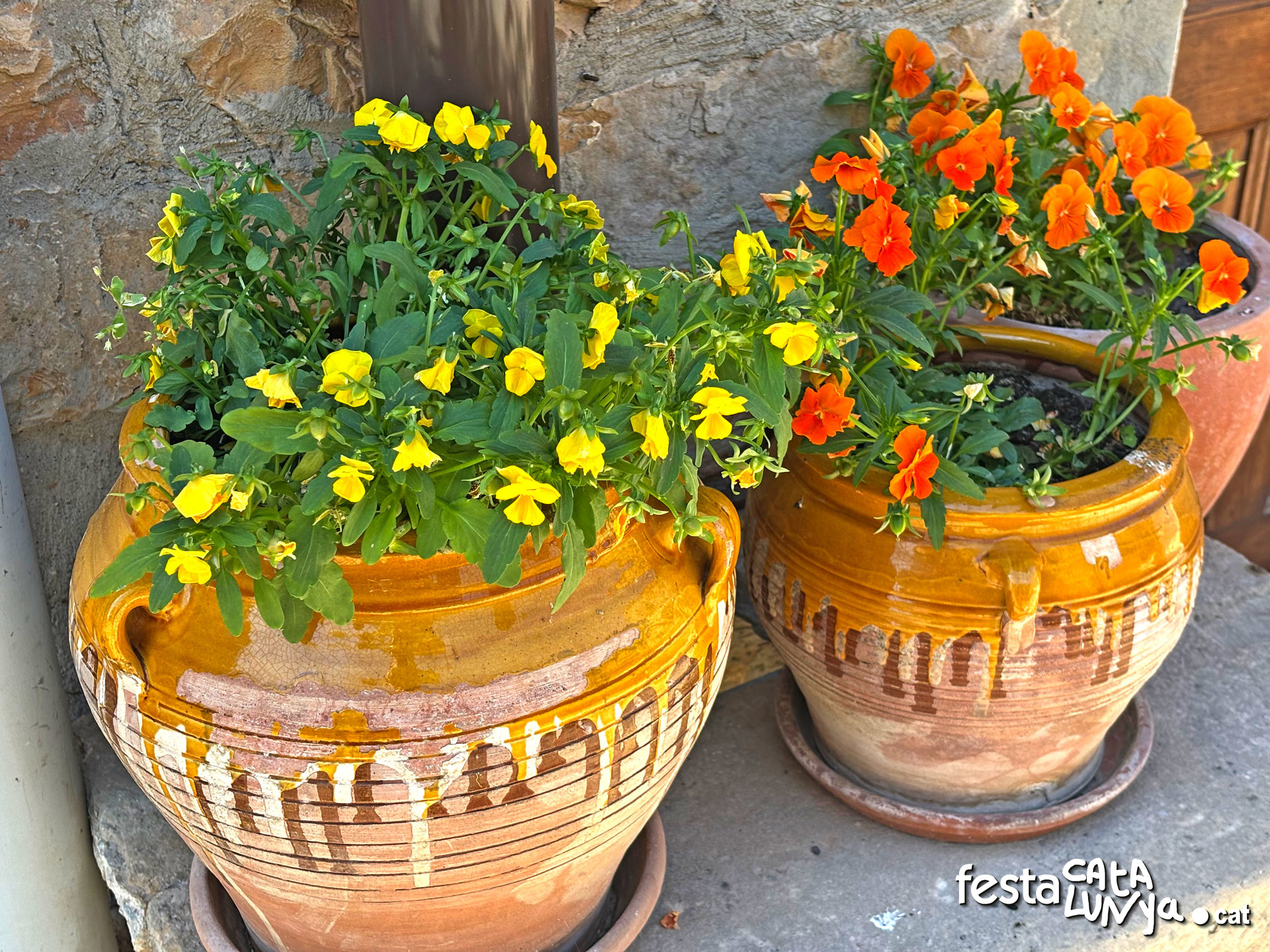 Passejada pel poble - Montoliu de Segarra