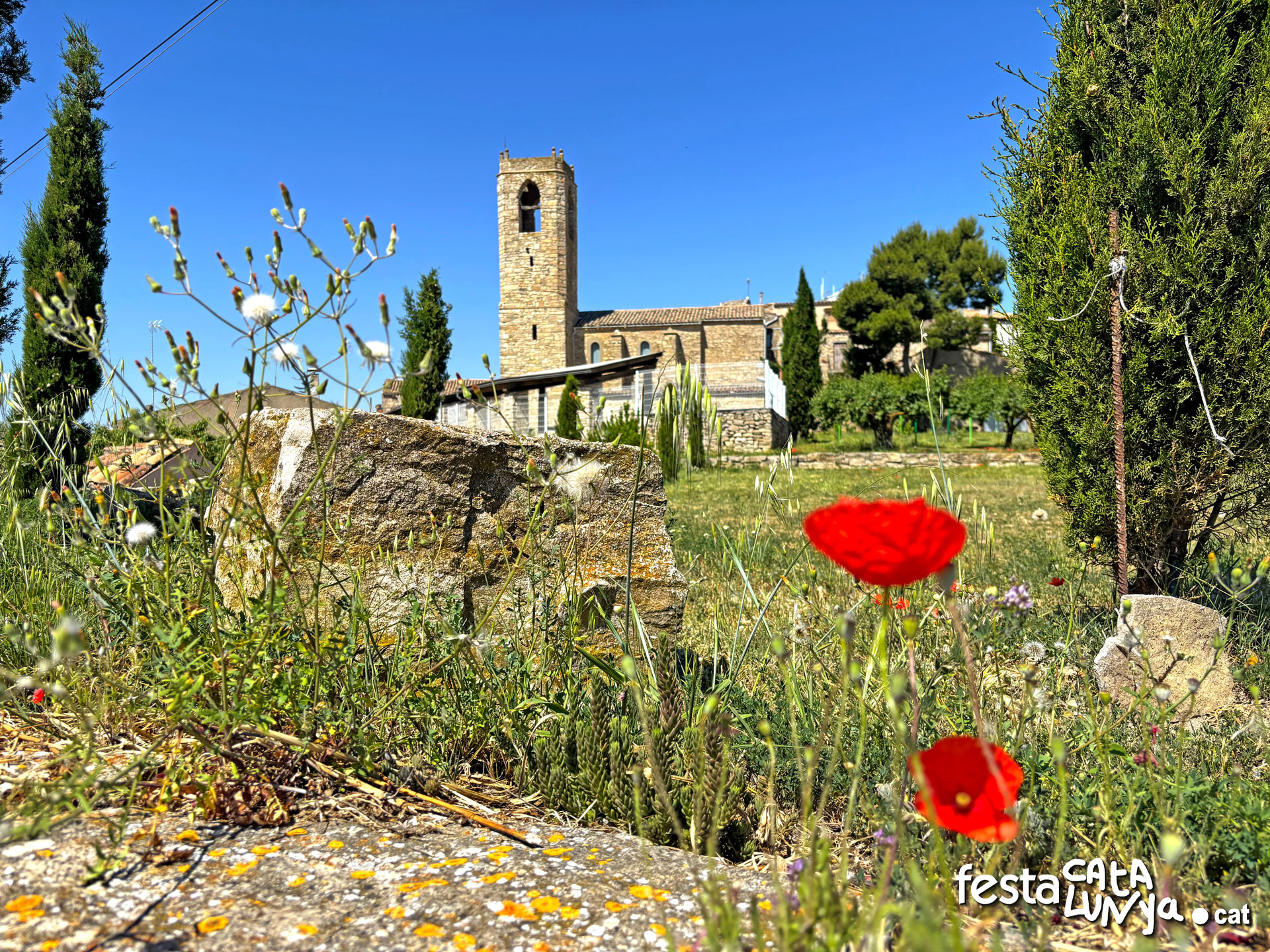 Sant Salvador - Montoliu de Segarra