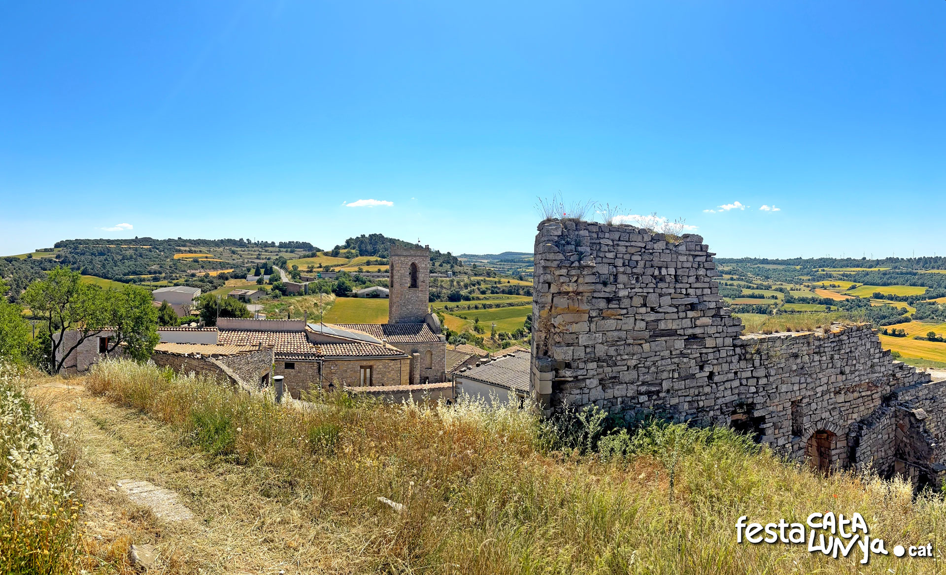 Vistes panoràmiques des del castell - Montoliu de Segarra