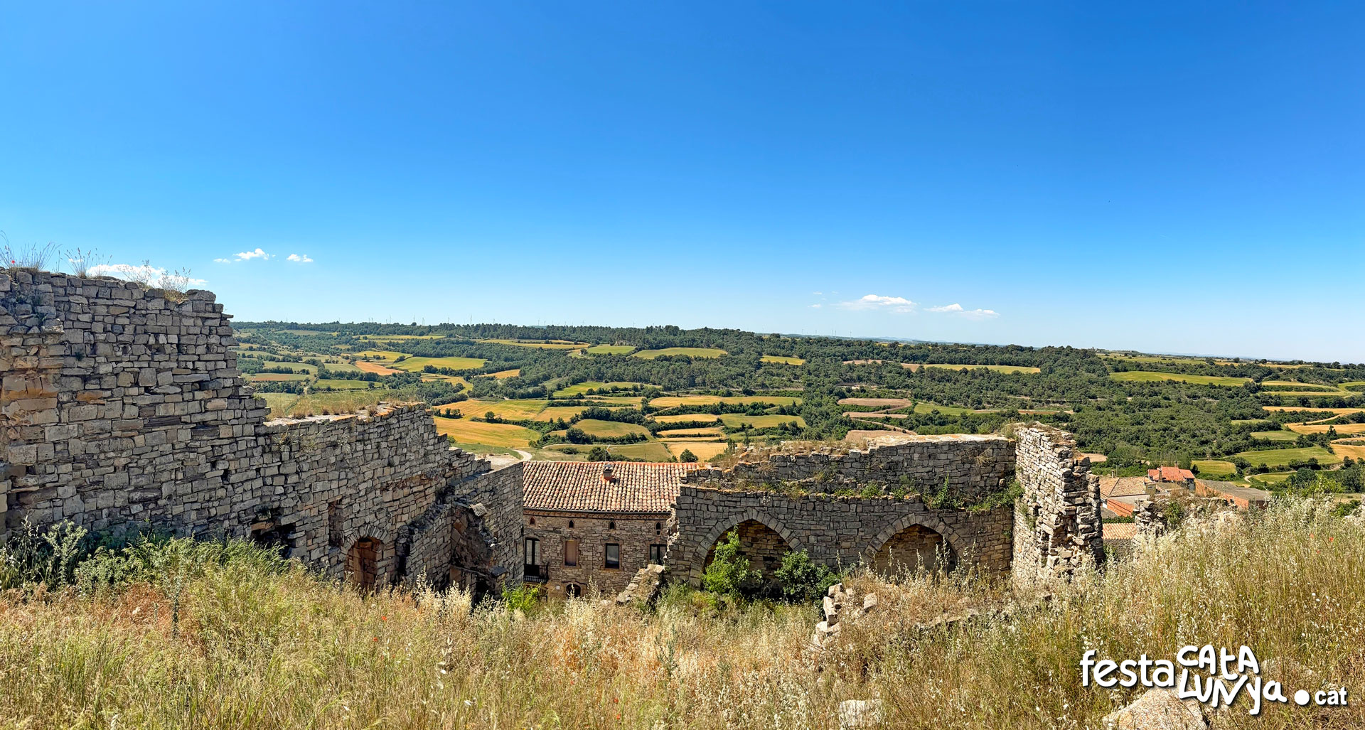 Vistes panoràmiques des del castell - Montoliu de Segarra