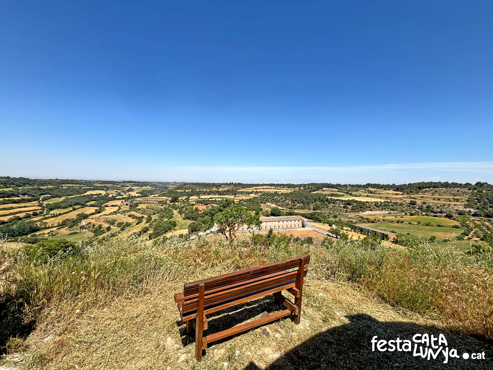Vistes panoràmiques des del castell - Montoliu de Segarra