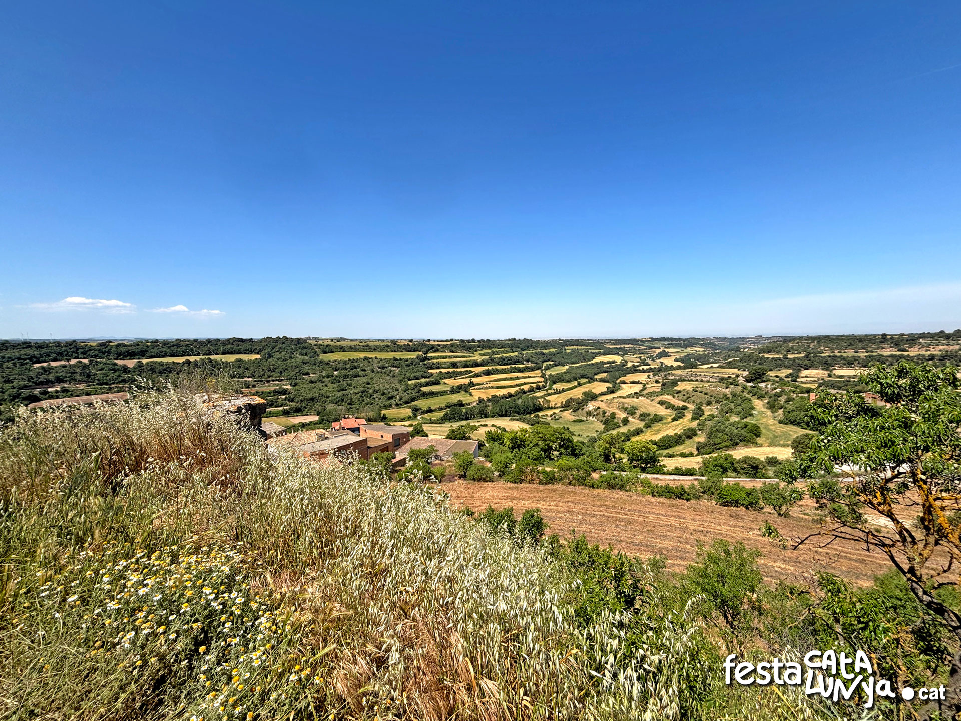 Vistes panoràmiques des del castell - Montoliu de Segarra