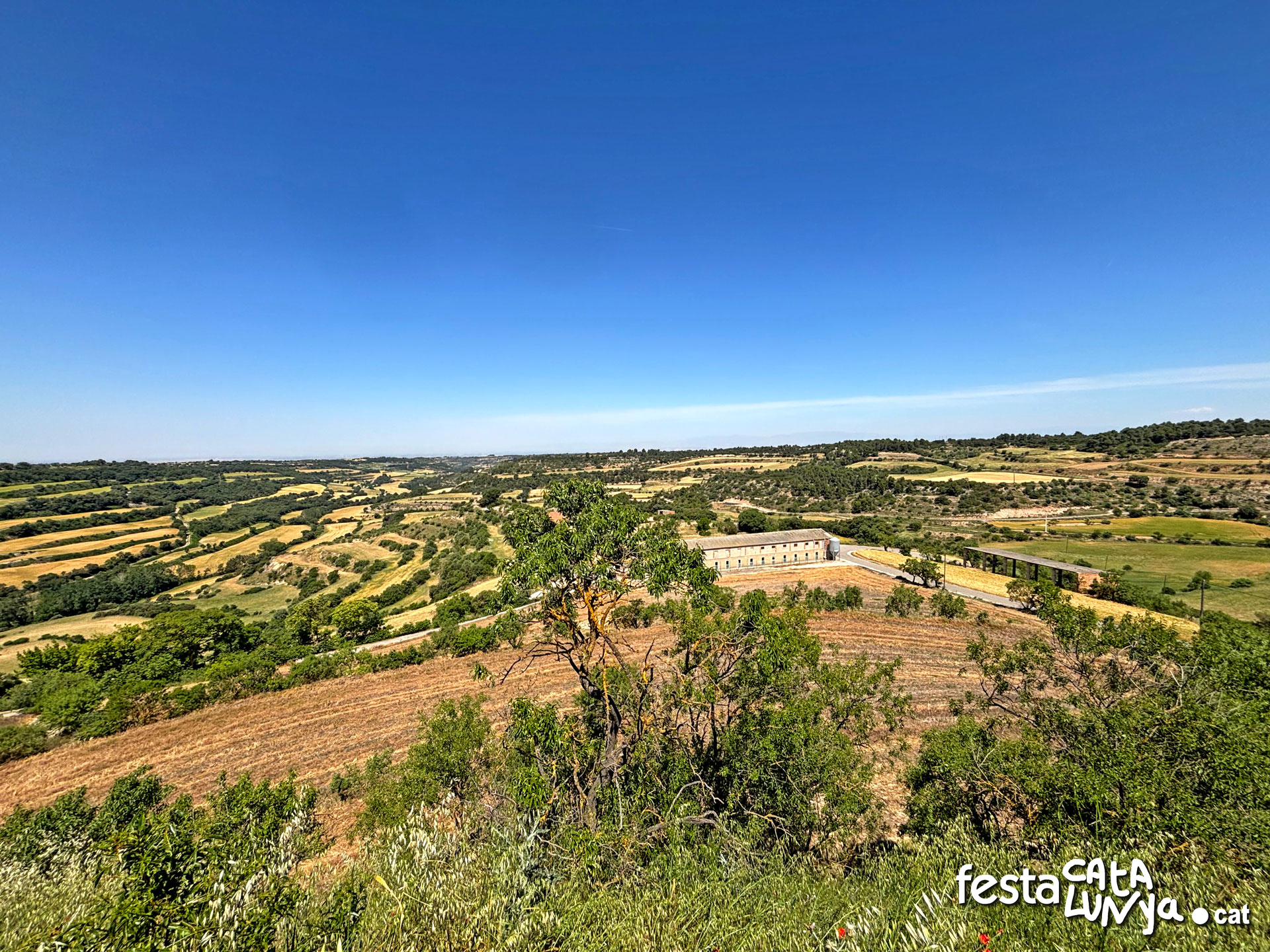 Vistes panoràmiques des del castell - Montoliu de Segarra