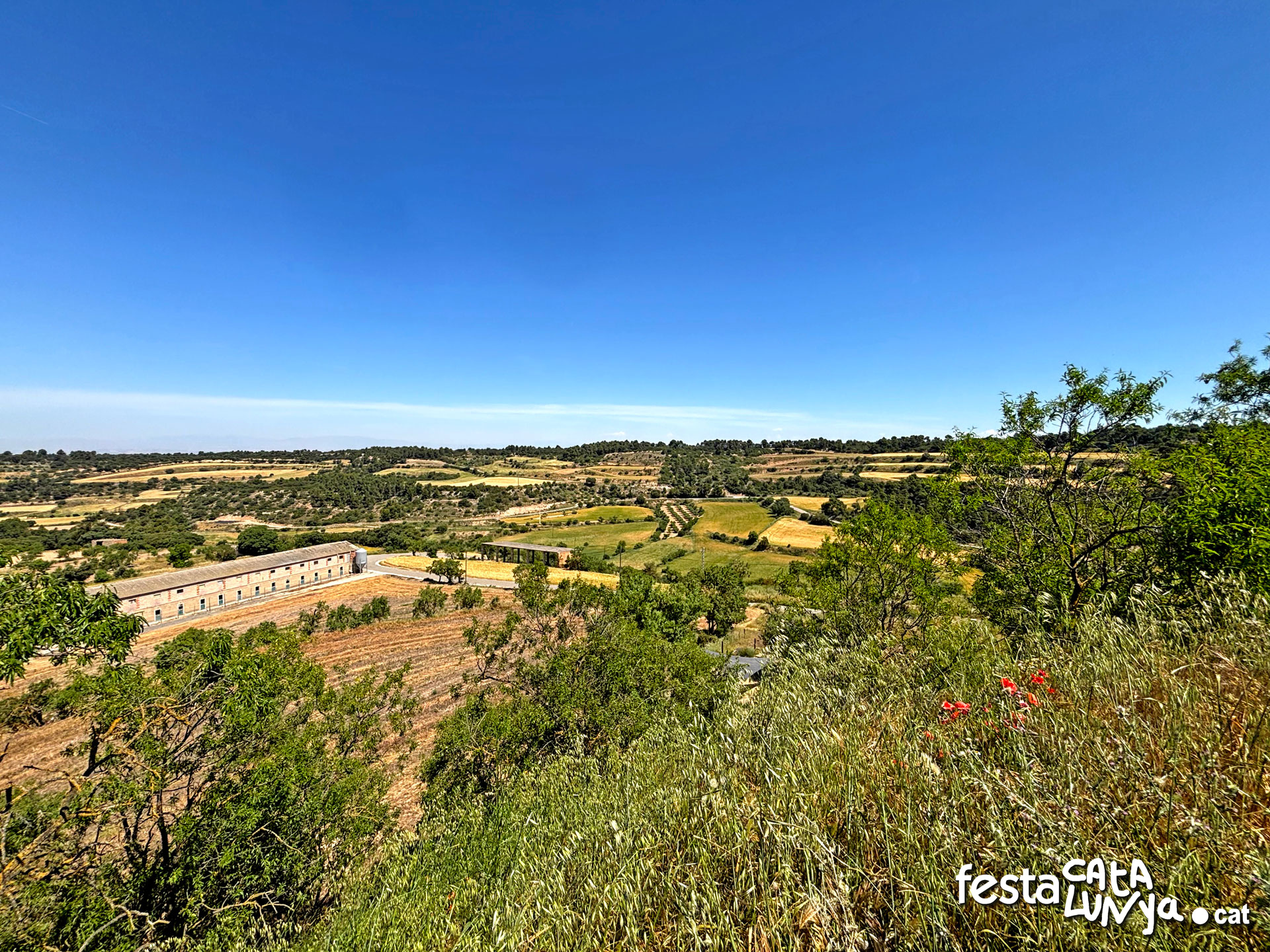 Vistes panoràmiques des del castell - Montoliu de Segarra