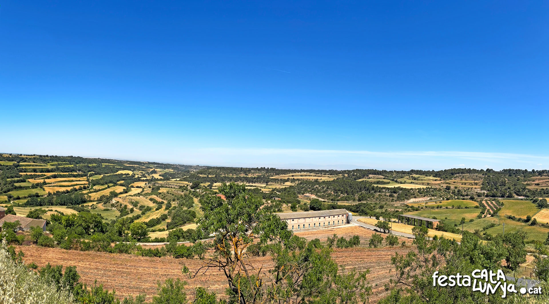 Vistes panoràmiques des del castell - Montoliu de Segarra