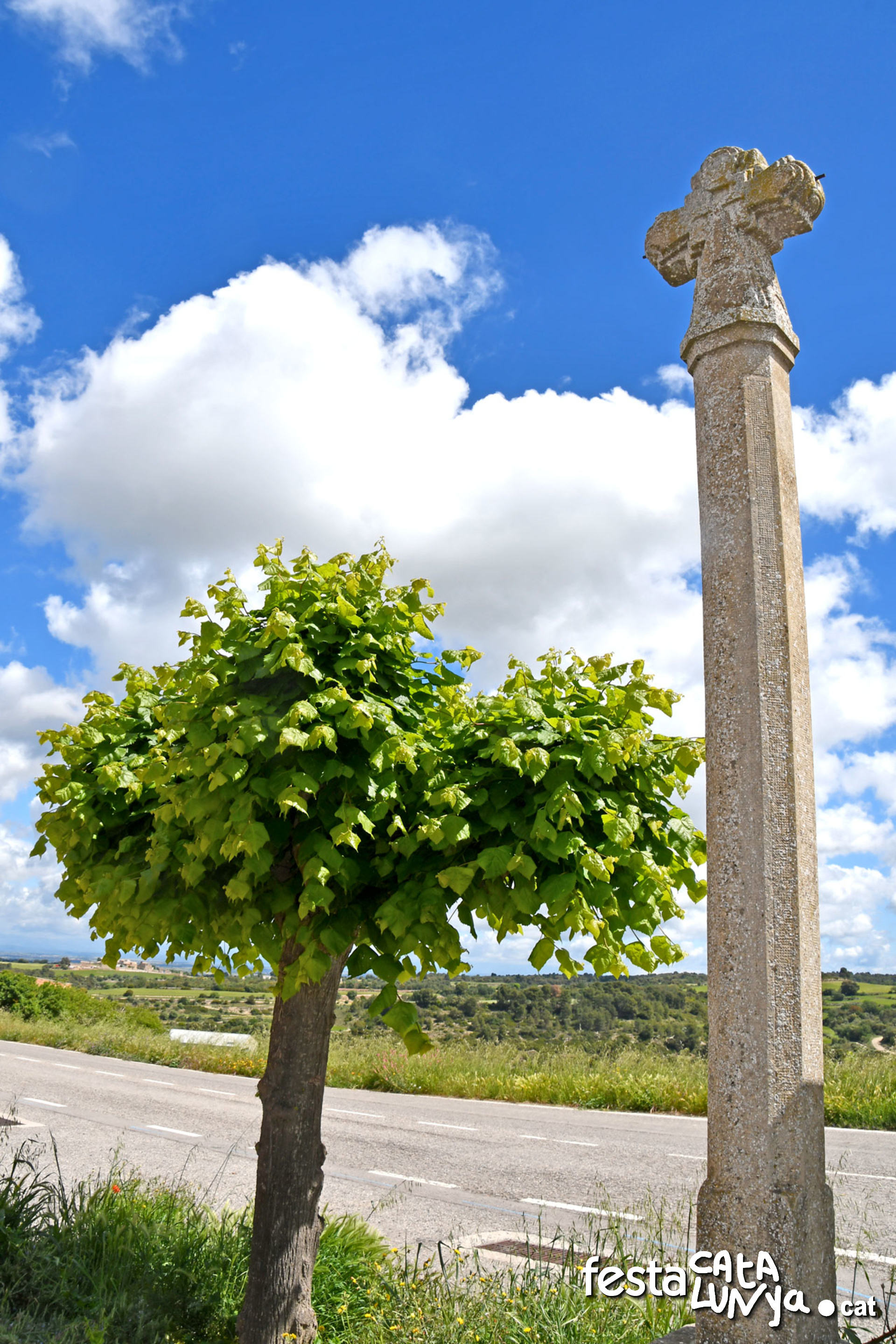 Creu de terme de la Guàrdia Lada - Montoliu de Segarra