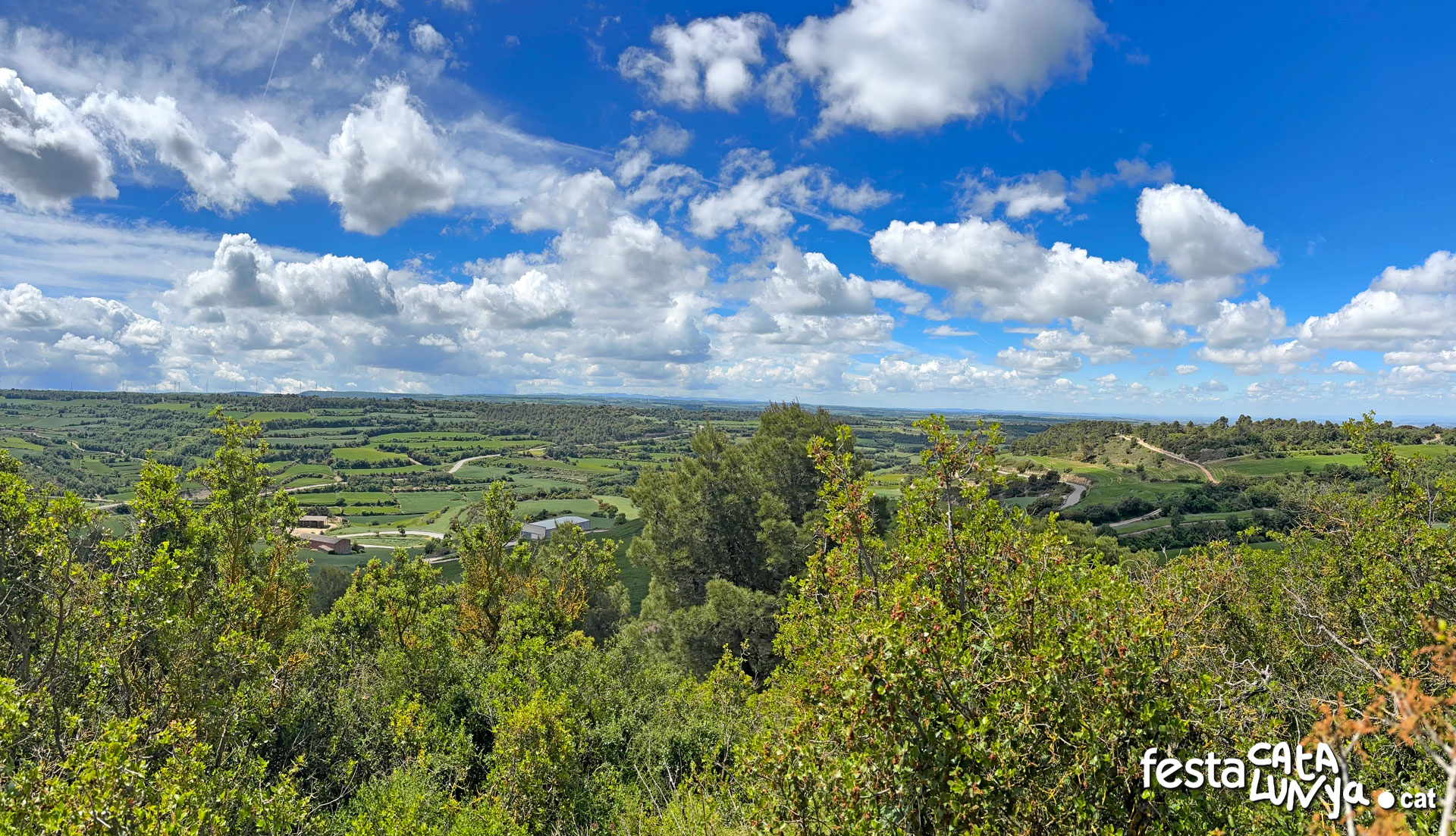 Vistes panoràmiques des del turó del castell de la Guàrdia Lada - Montoliu de Segarra