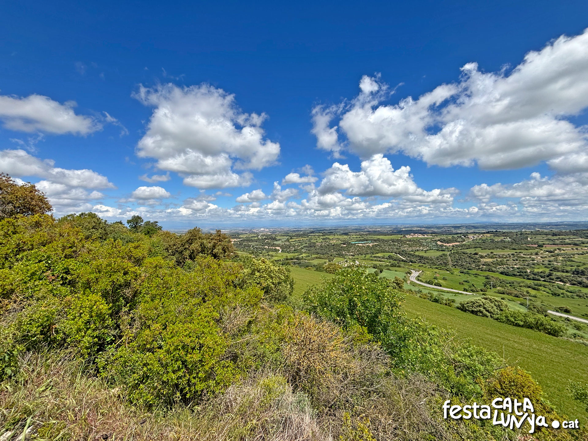 Vistes panoràmiques des del turó del castell de la Guàrdia Lada - Montoliu de Segarra
