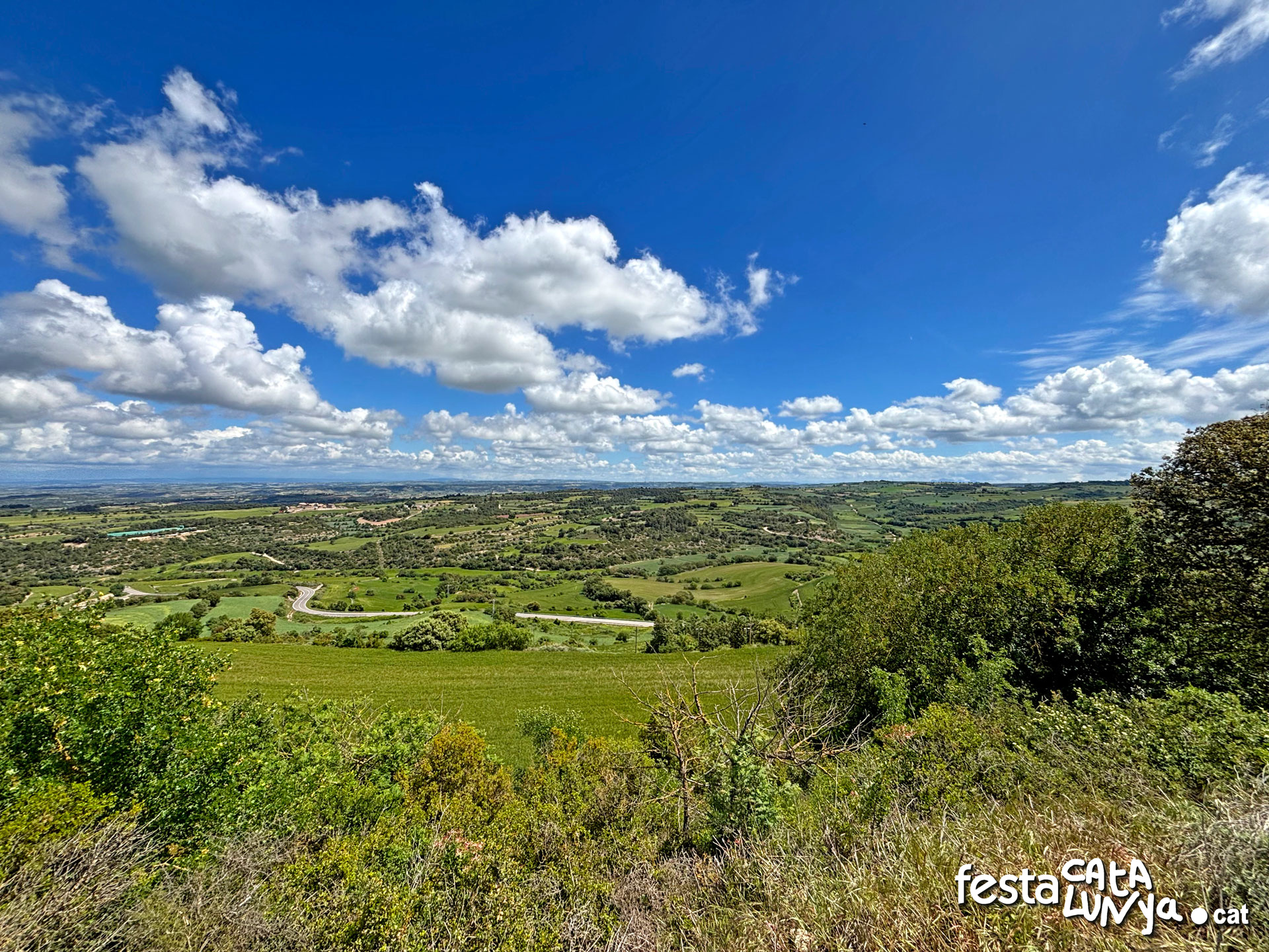 Vistes panoràmiques des del turó del castell de la Guàrdia Lada - Montoliu de Segarra
