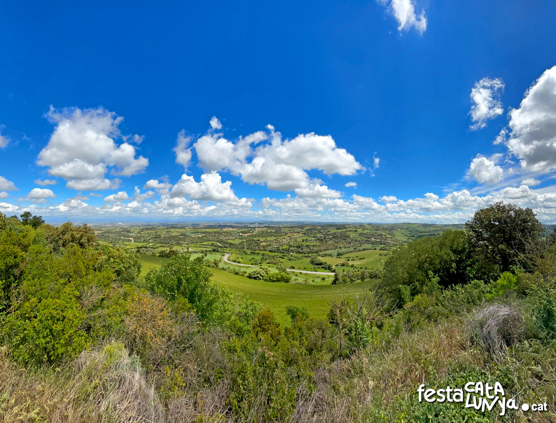 Vistes panoràmiques des del turó del castell de la Guàrdia Lada - Montoliu de Segarra