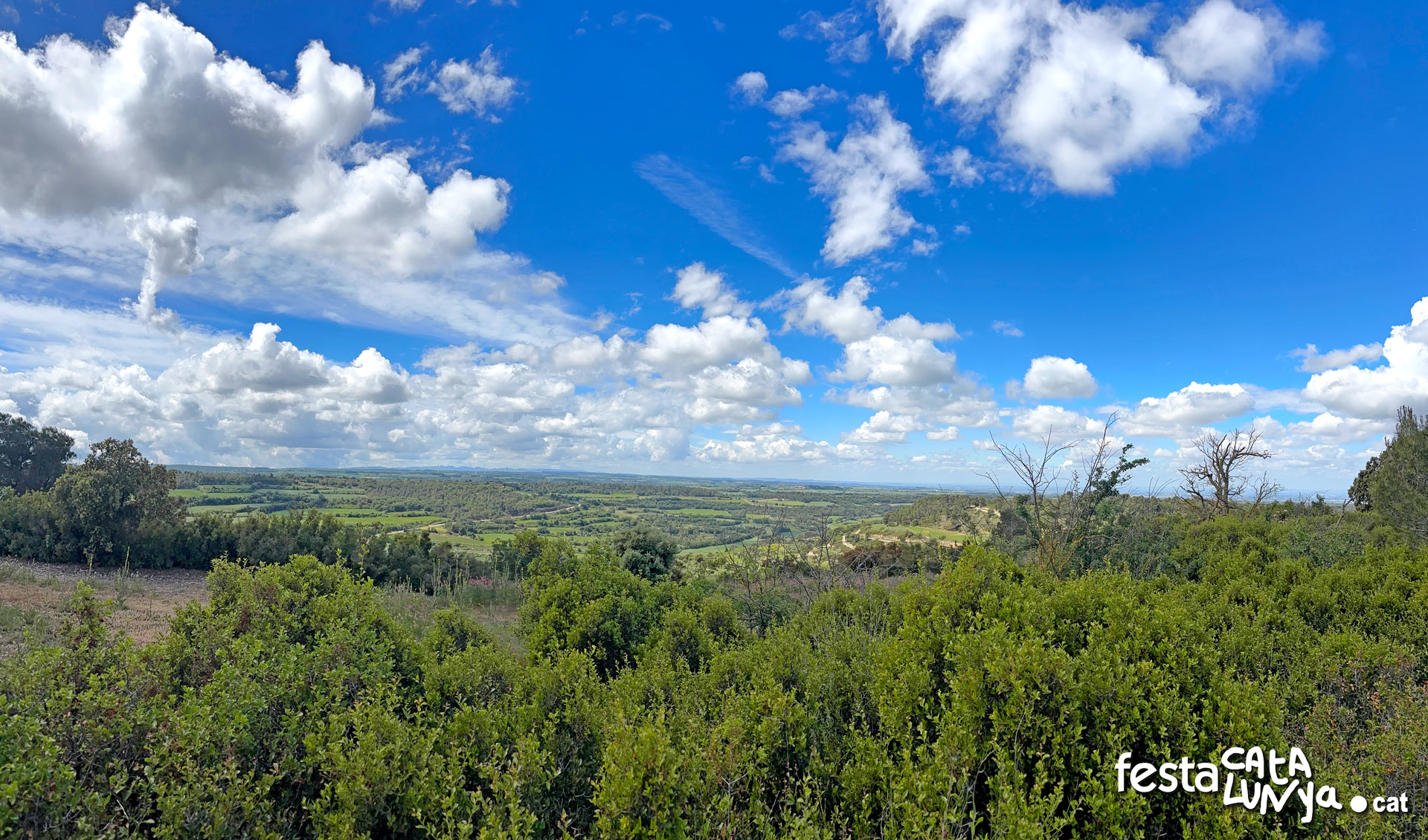 Vistes panoràmiques des del turó del castell de la Guàrdia Lada - Montoliu de Segarra