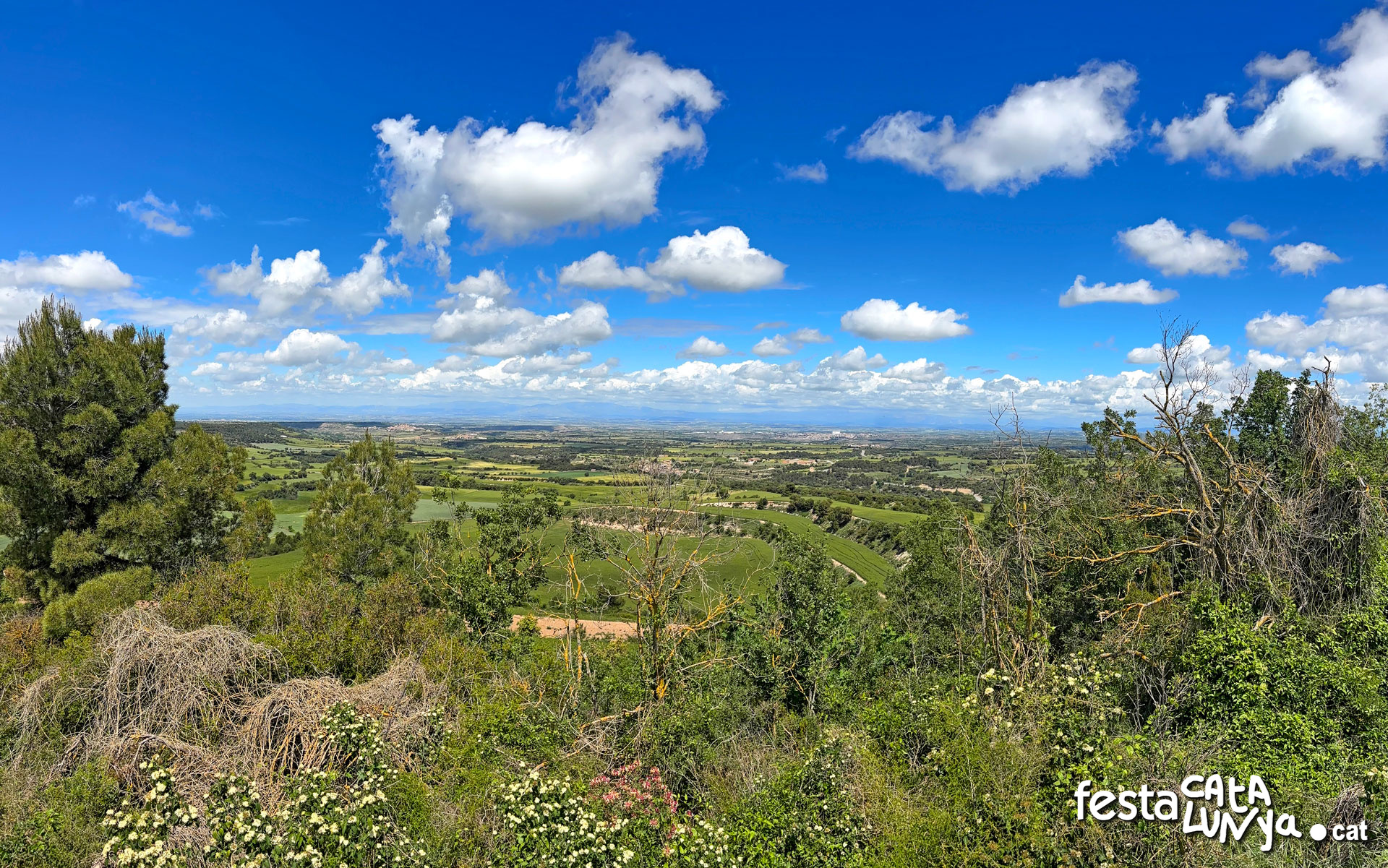 Vistes panoràmiques des del turó del castell de la Guàrdia Lada - Montoliu de Segarra