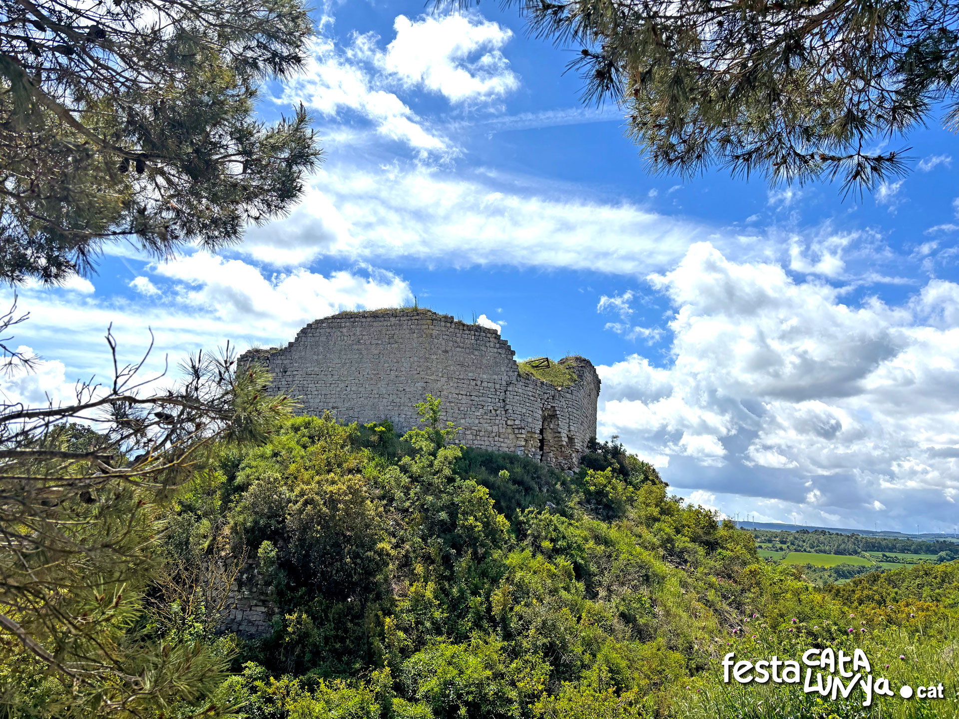 Castell de la Guàrdia Lada - Montoliu de Segarra