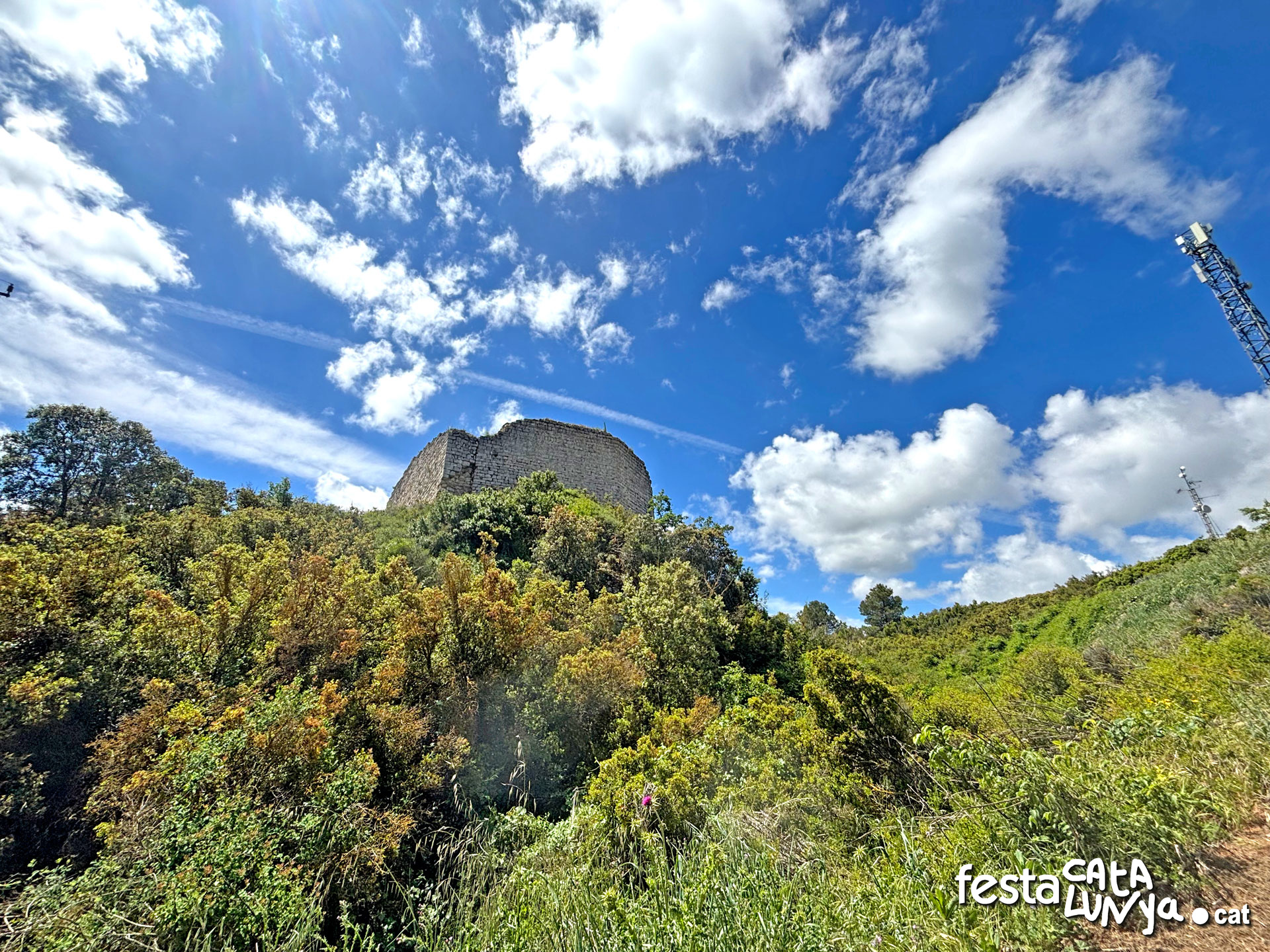 Castell de la Guàrdia Lada - Montoliu de Segarra