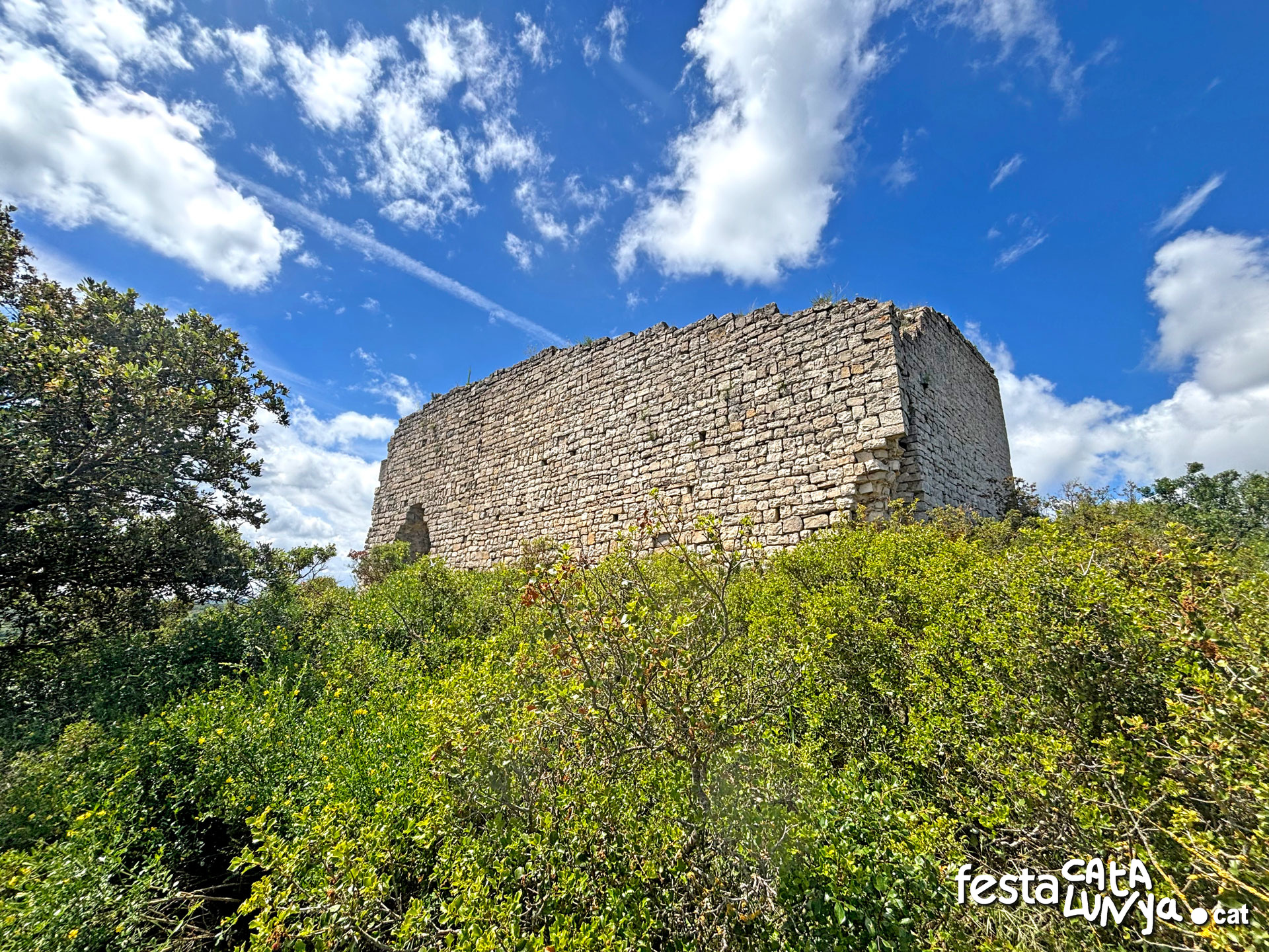 Castell de la Guàrdia Lada - Montoliu de Segarra
