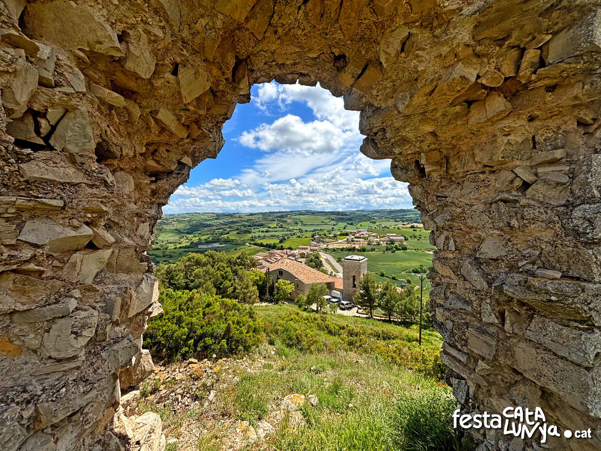 Castell de la Guàrdia Lada - Montoliu de Segarra