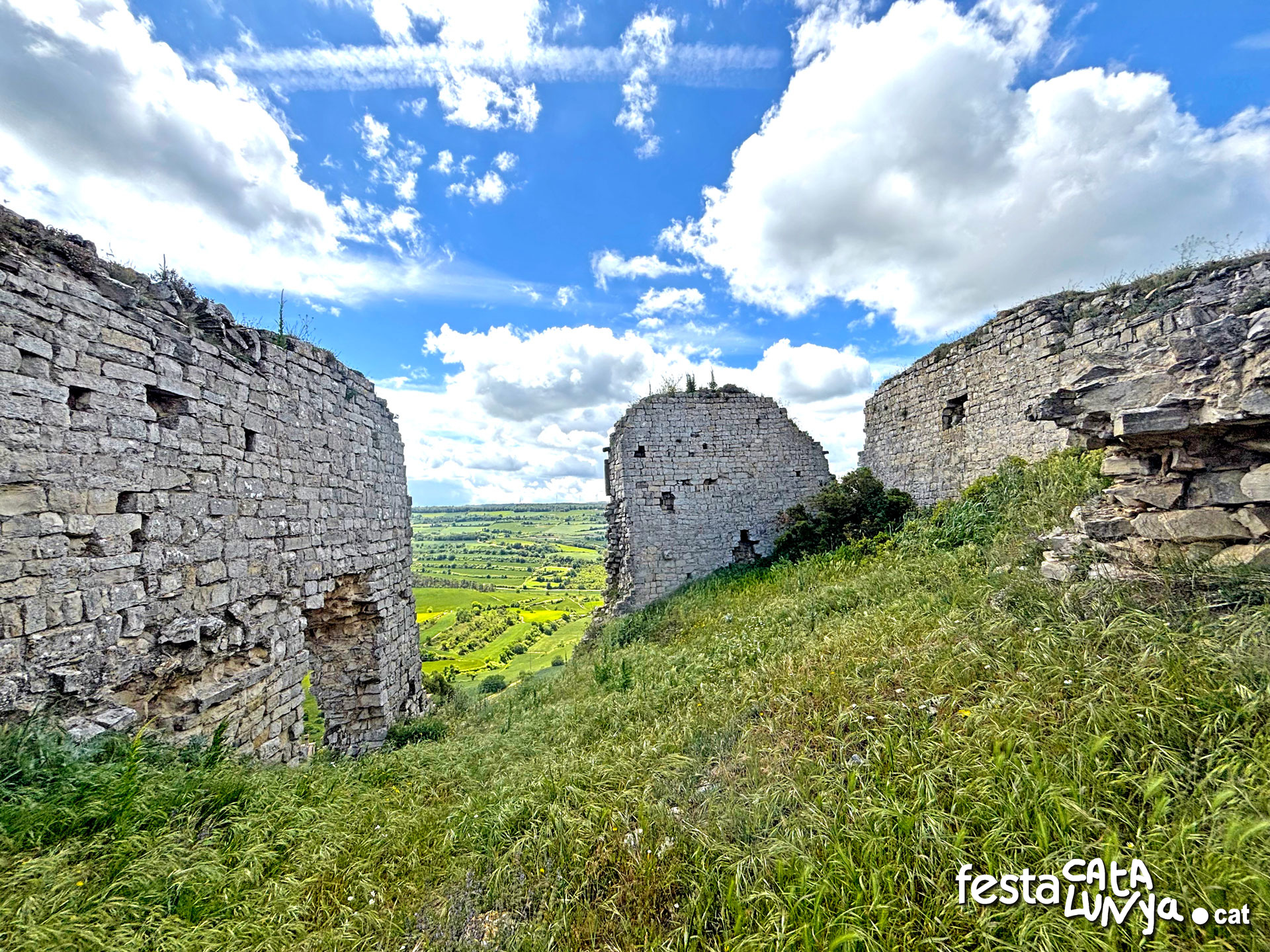 Castell de la Guàrdia Lada - Montoliu de Segarra