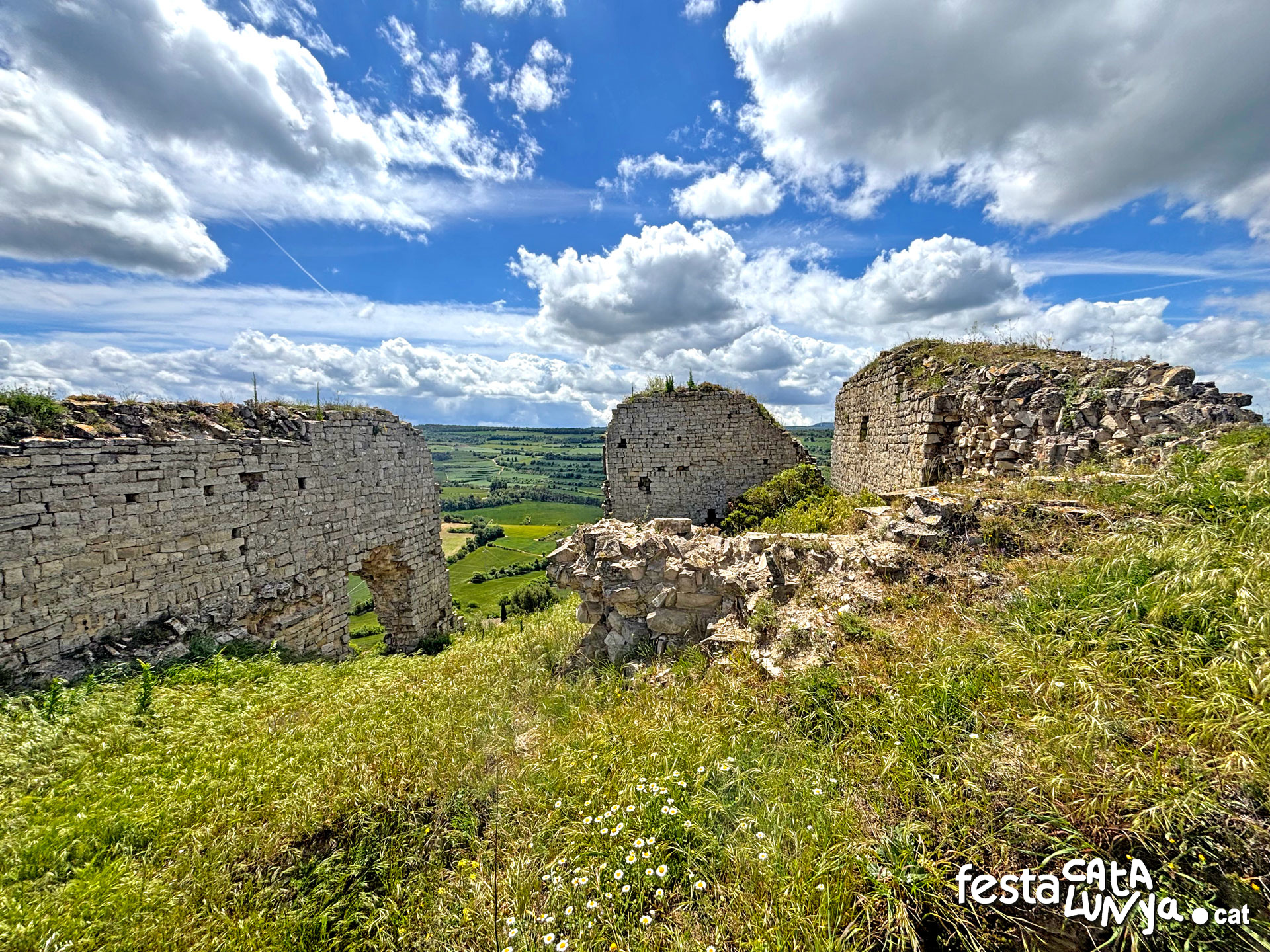 Castell de la Guàrdia Lada - Montoliu de Segarra