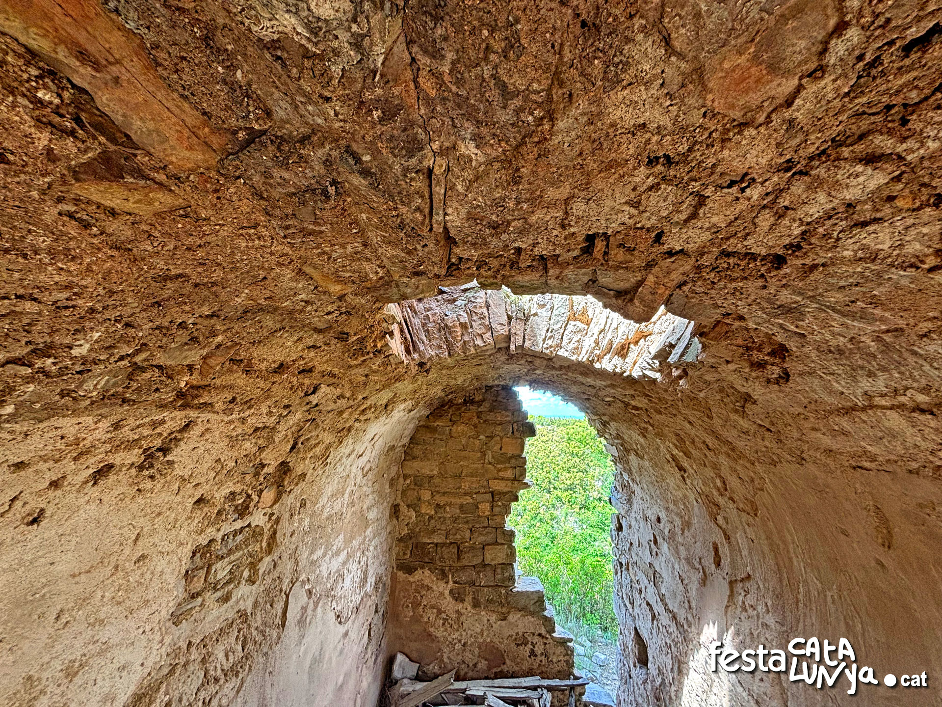 Castell de la Guàrdia Lada - Montoliu de Segarra