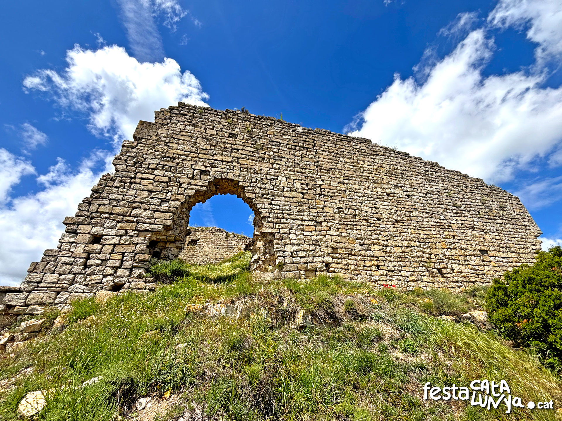 Castell de la Guàrdia Lada - Montoliu de Segarra
