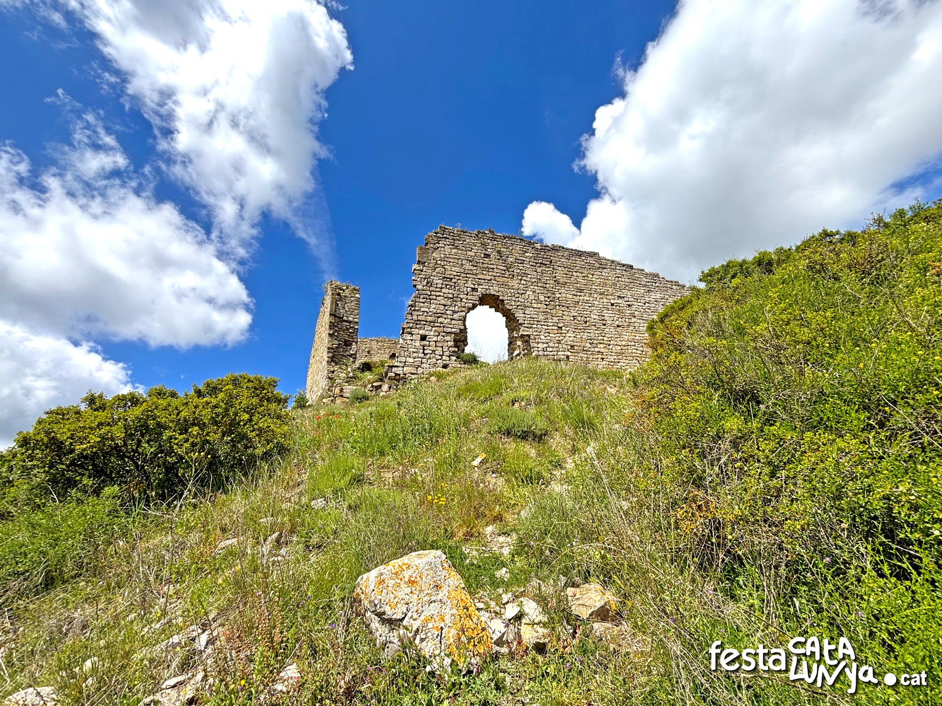 Castell de la Guàrdia Lada - Montoliu de Segarra
