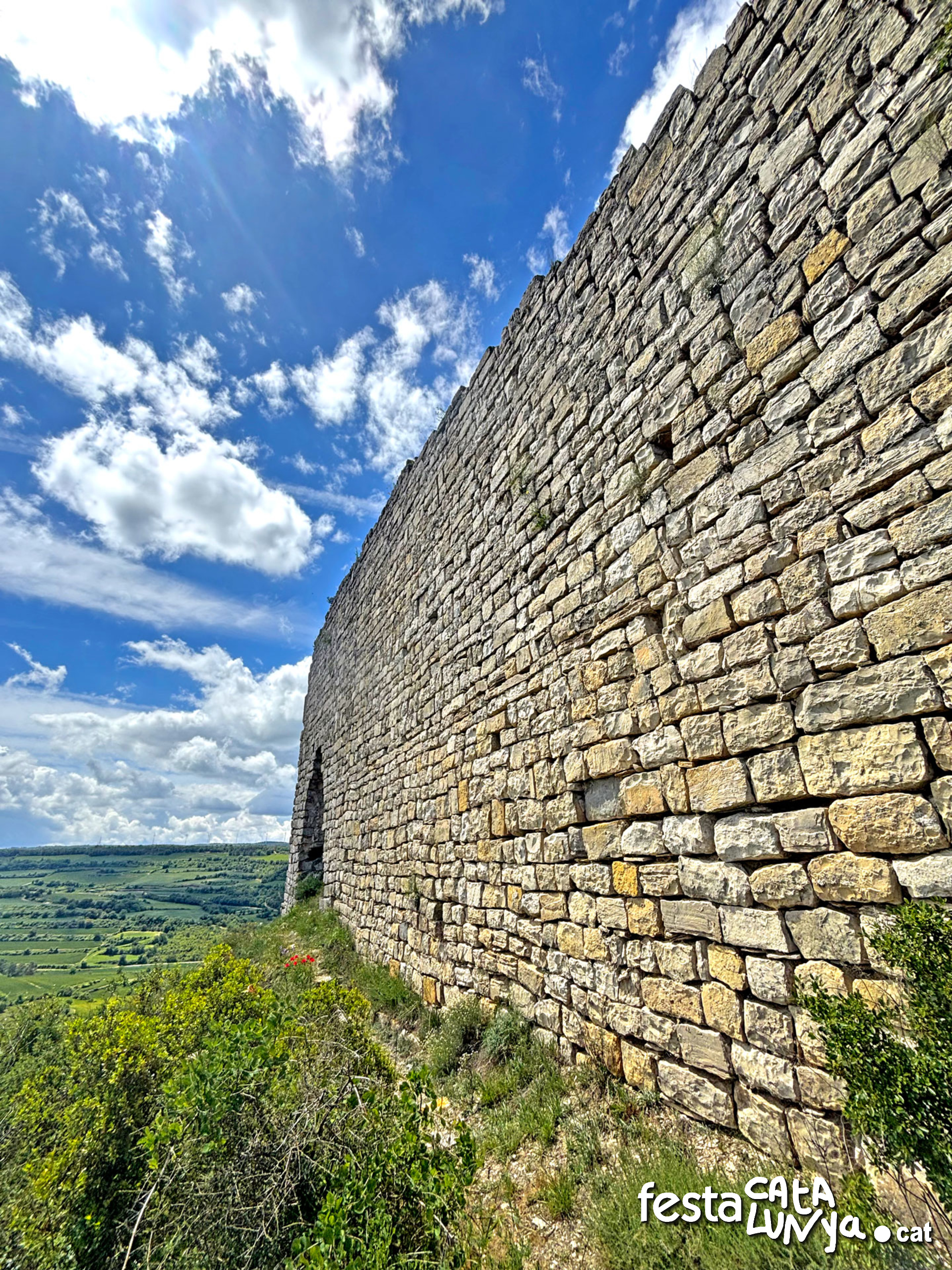Castell de la Guàrdia Lada - Montoliu de Segarra