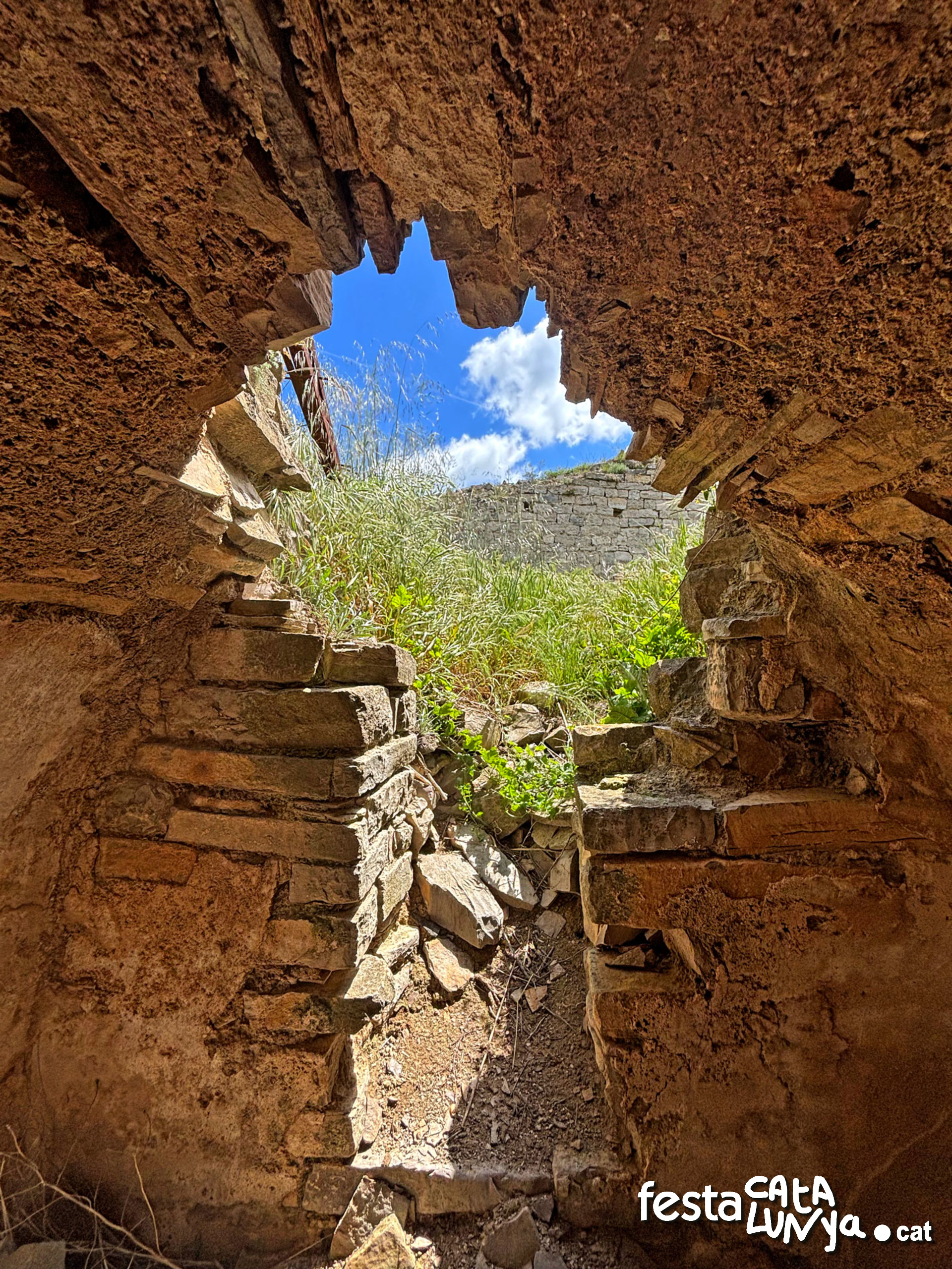 Castell de la Guàrdia Lada - Montoliu de Segarra