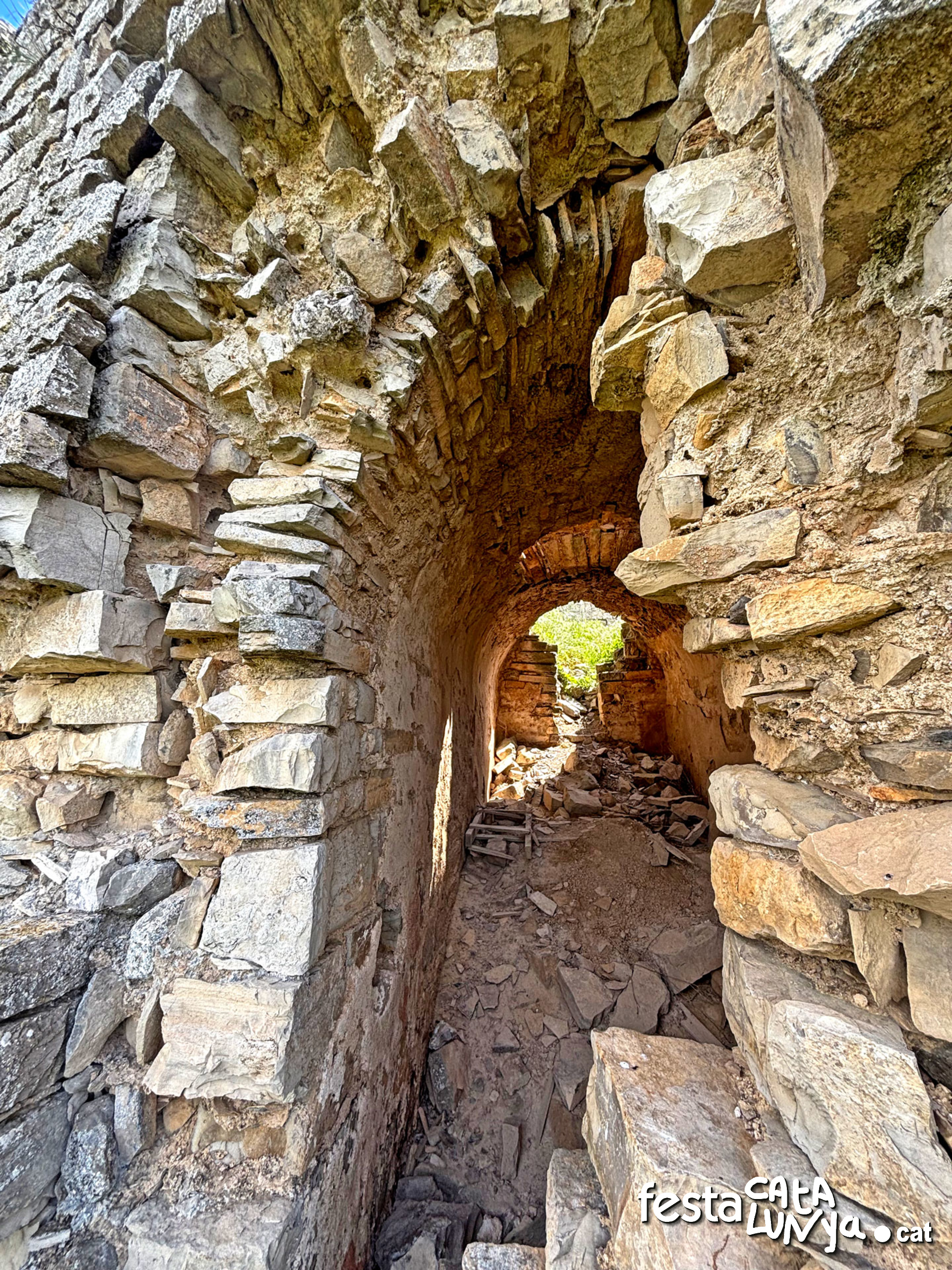 Castell de la Guàrdia Lada - Montoliu de Segarra