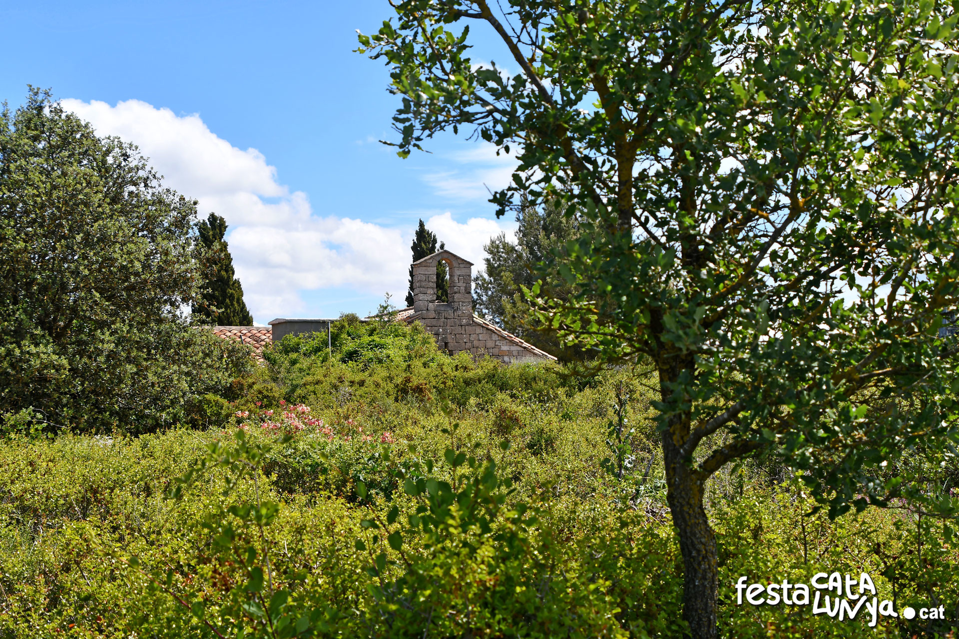 Mare de Déu del Coll de la Guàrdia Lada - Montoliu de Segarra
