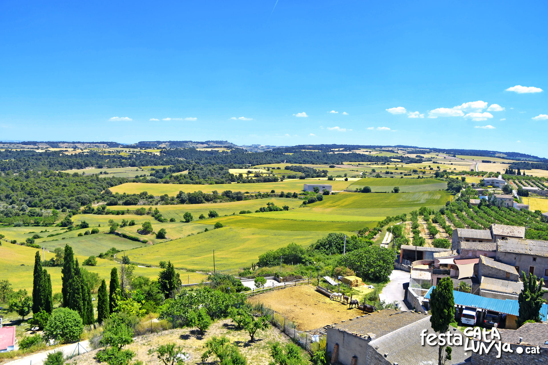 Mirador del castell de l'Ametlla de Segarra - Montoliu de Segarra