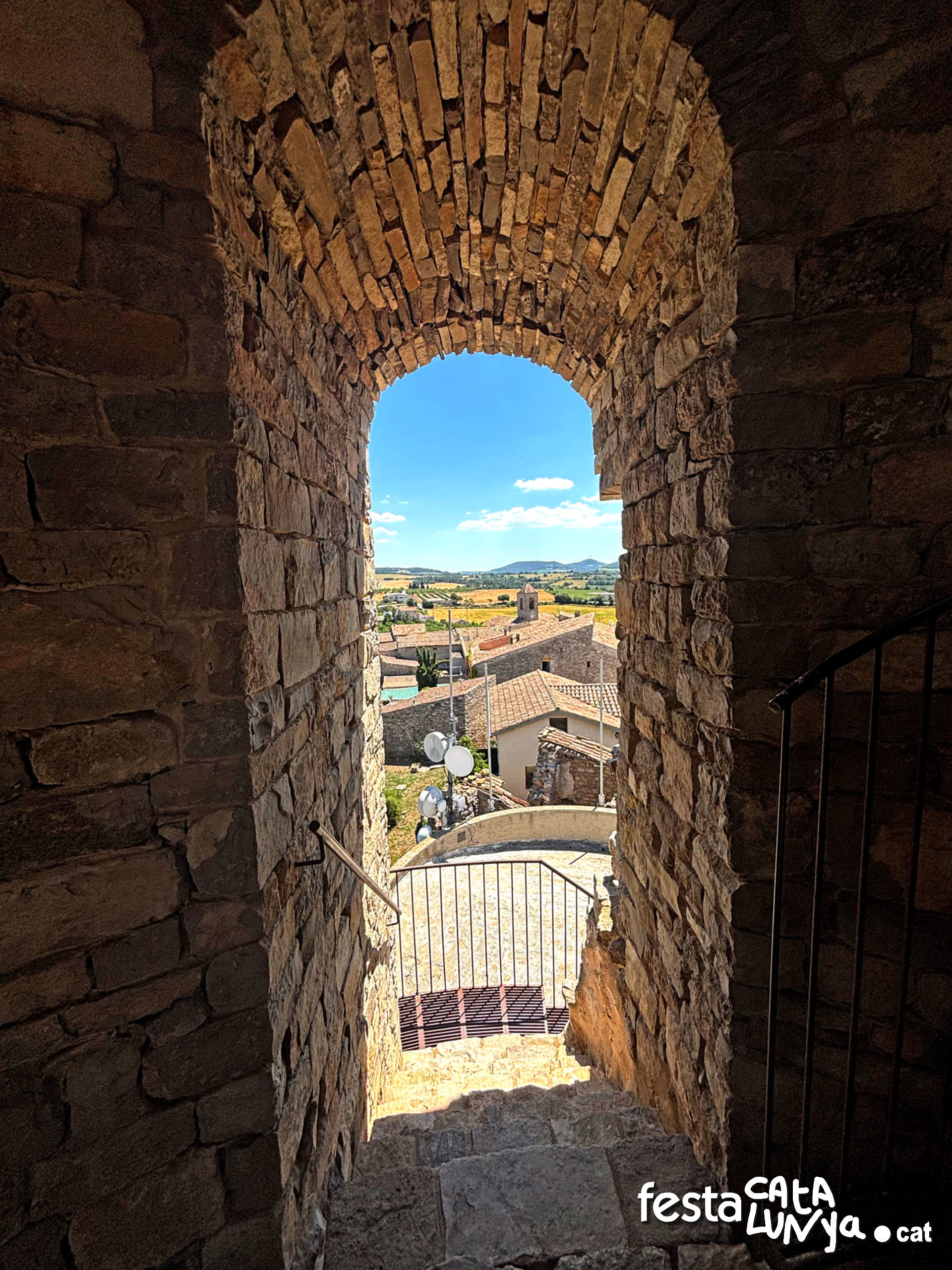 Castell de l'Ametlla de Segarra - Montoliu de Segarra