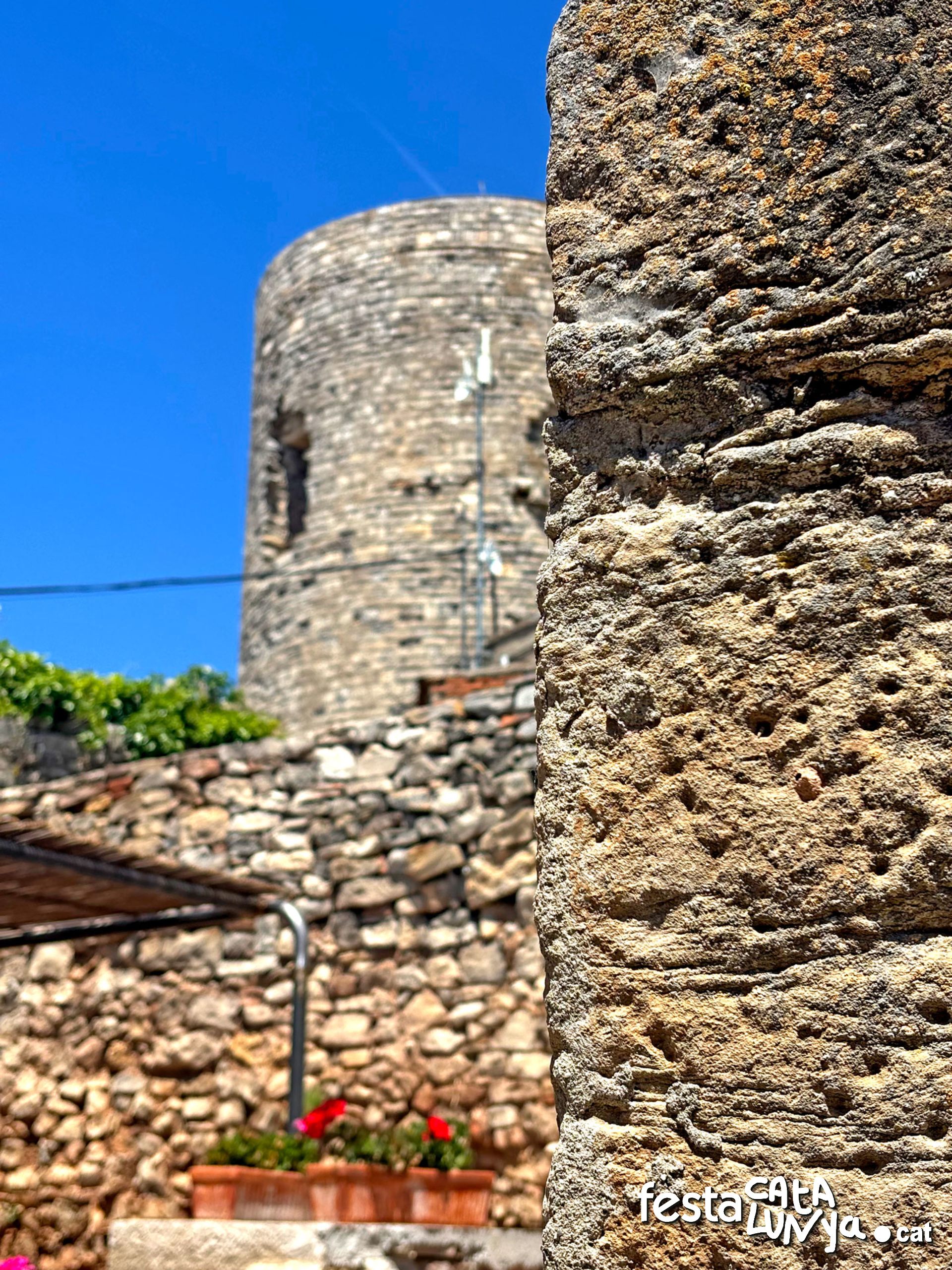 Castell de l'Ametlla de Segarra - Montoliu de Segarra
