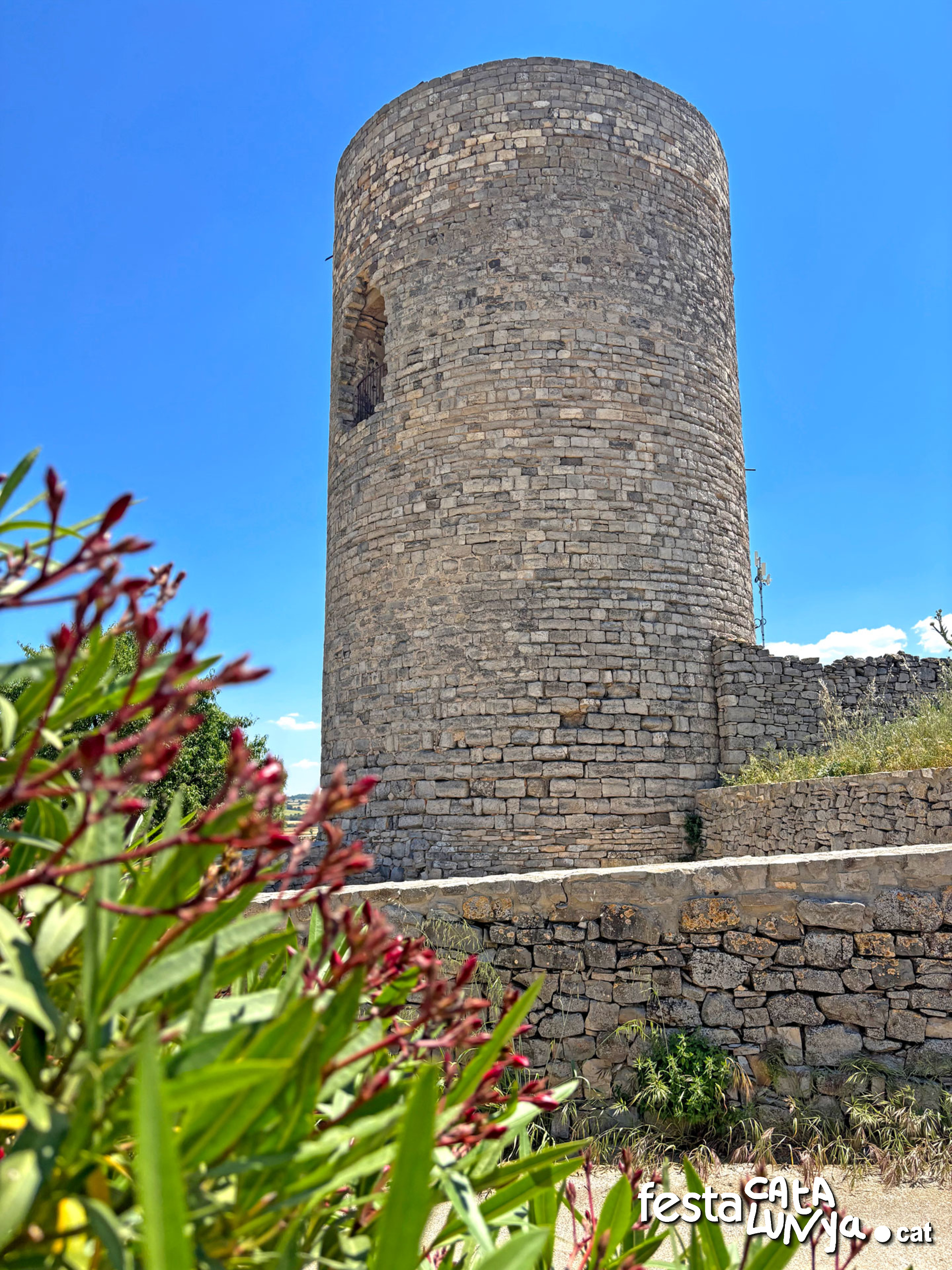 Castell de l'Ametlla de Segarra - Montoliu de Segarra