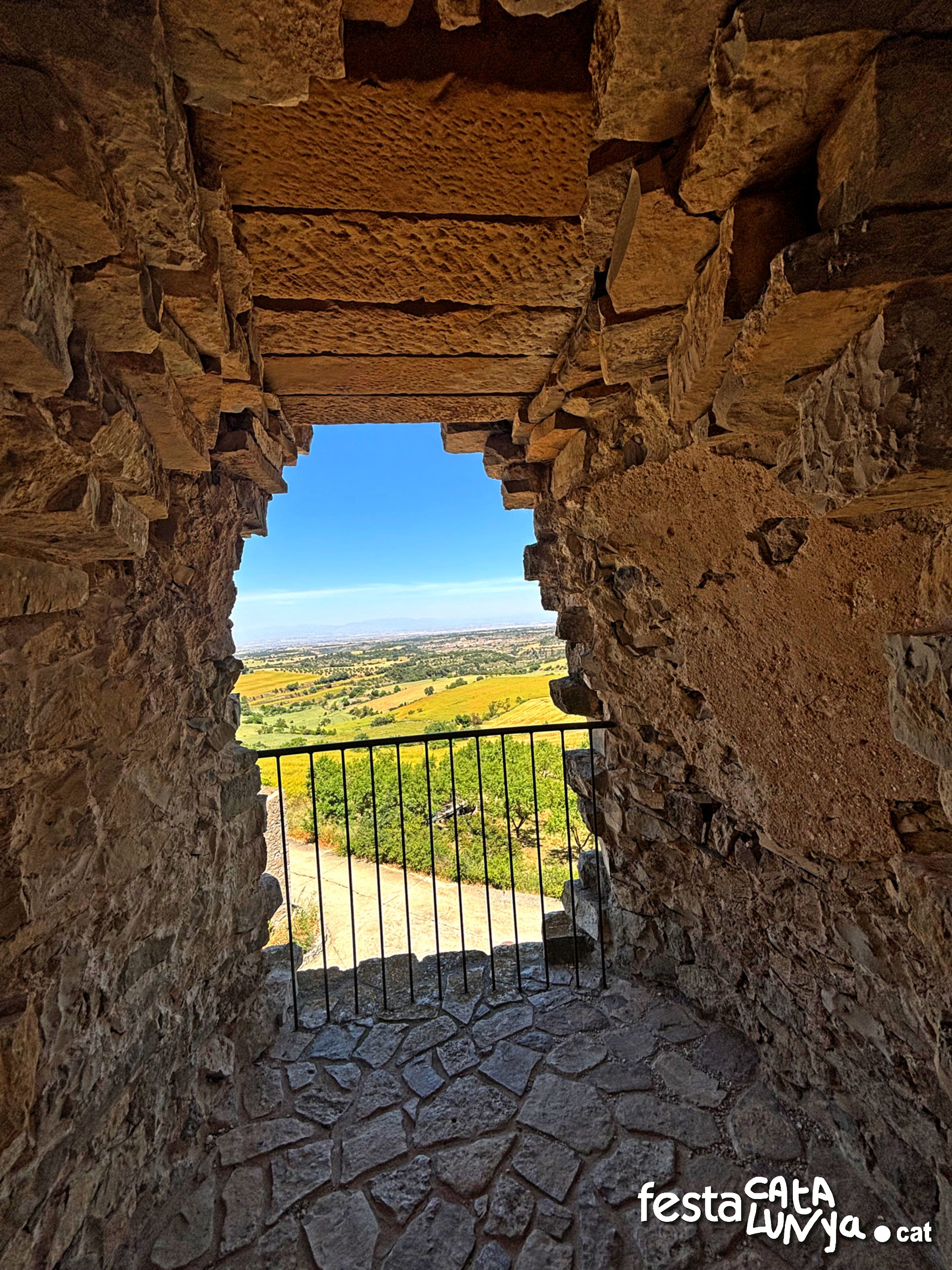 Castell de l'Ametlla de Segarra - Montoliu de Segarra