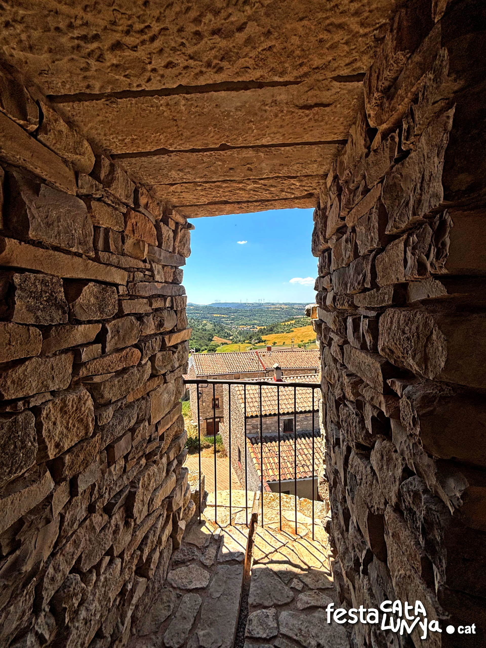 Castell de l'Ametlla de Segarra - Montoliu de Segarra