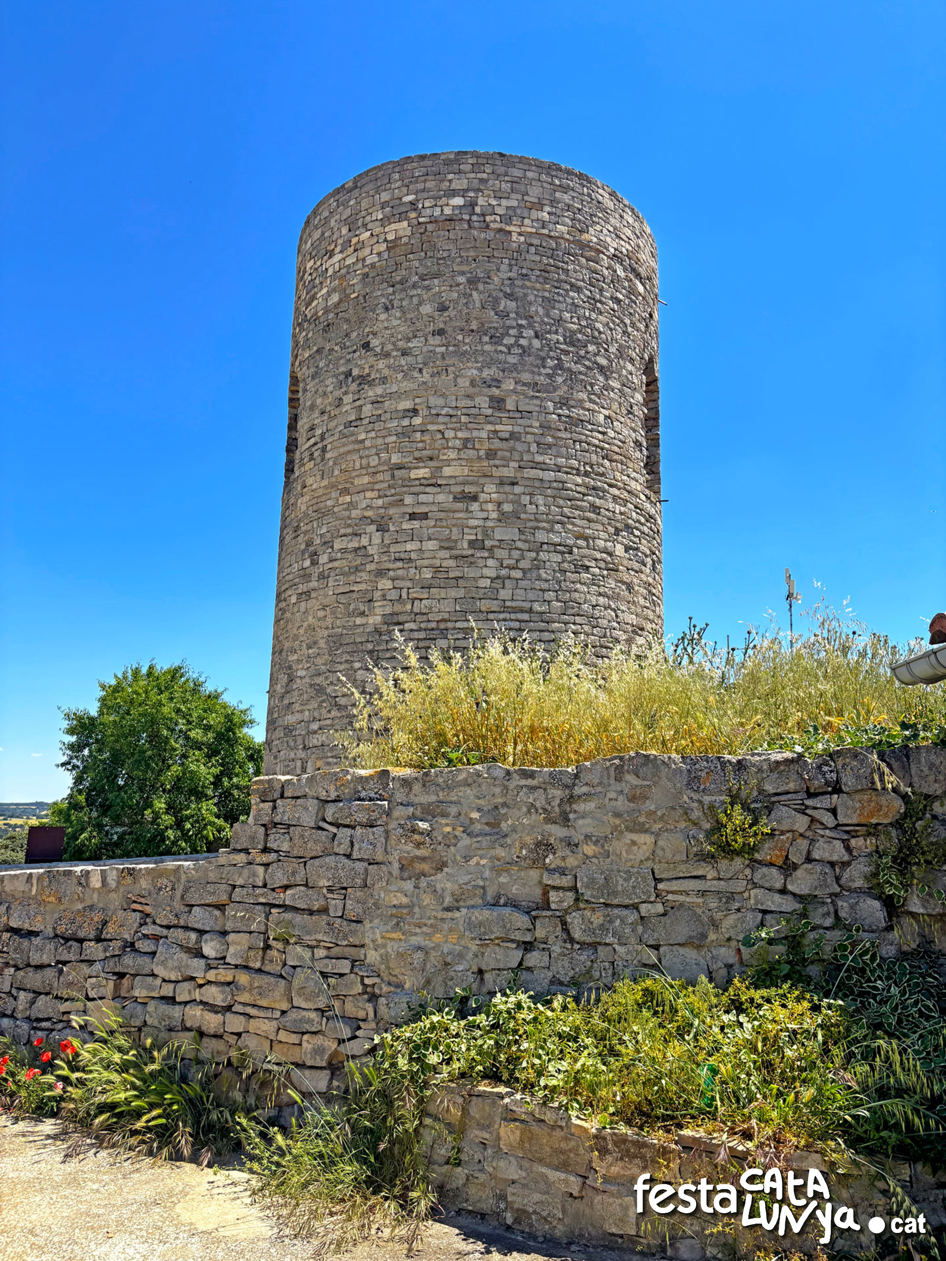 Castell de l'Ametlla de Segarra - Montoliu de Segarra
