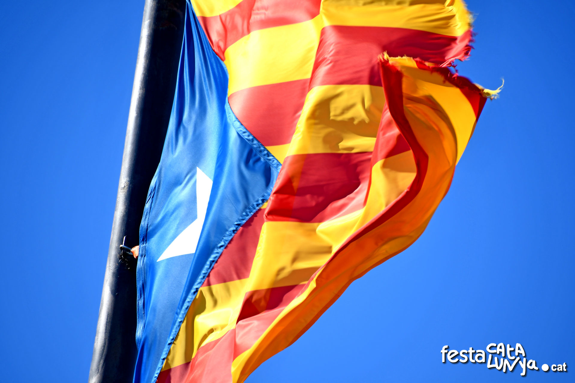 Diada Nacional de Catalunya a Roda de Ter