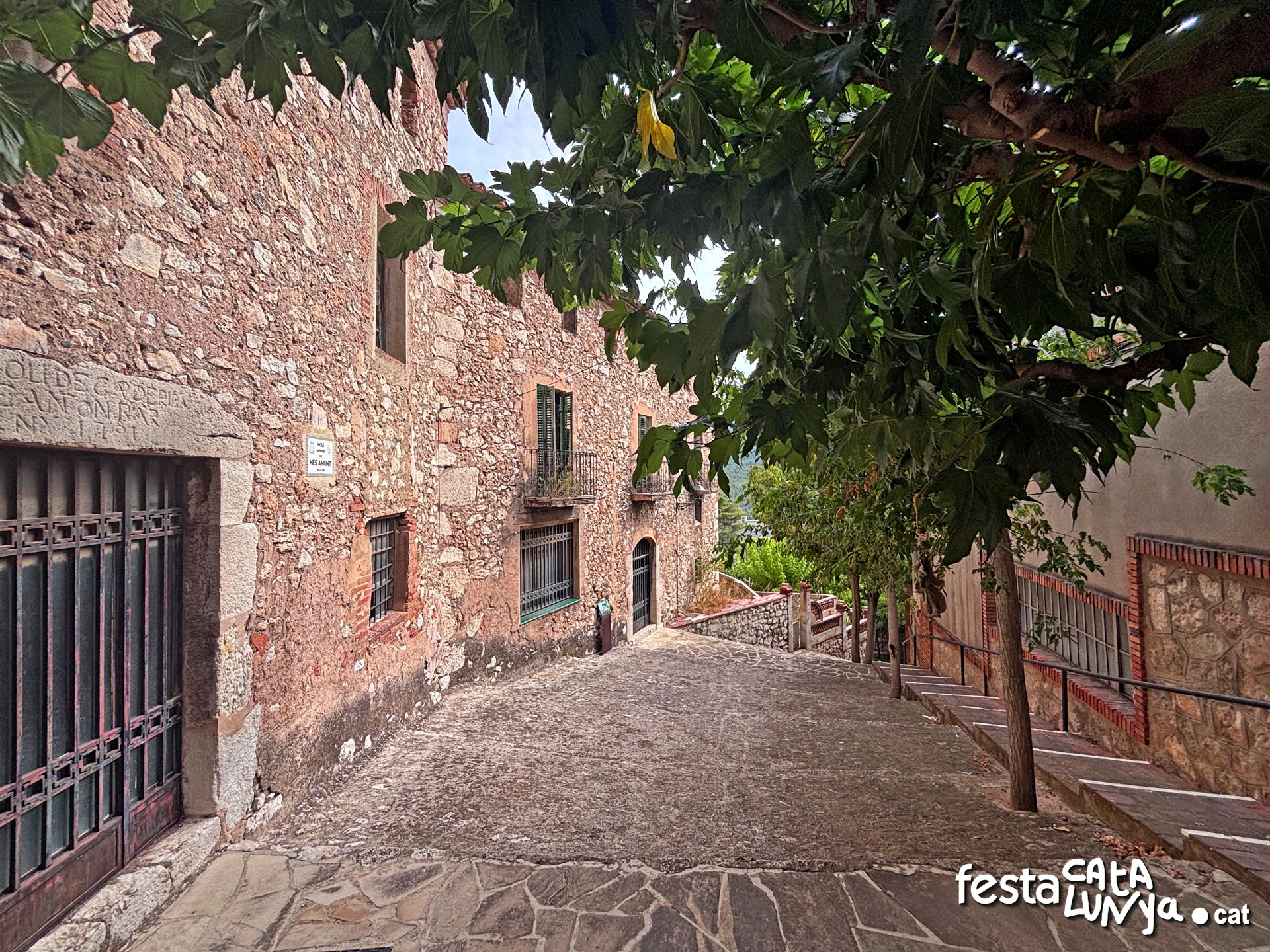 Molins paperers de la Riba ***