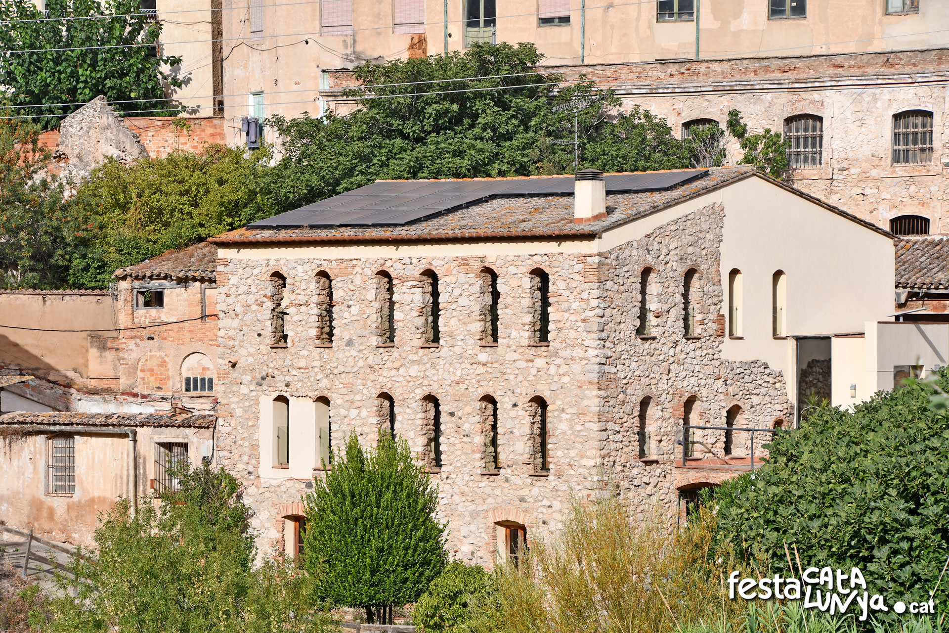 Els altres molins de la Riba
