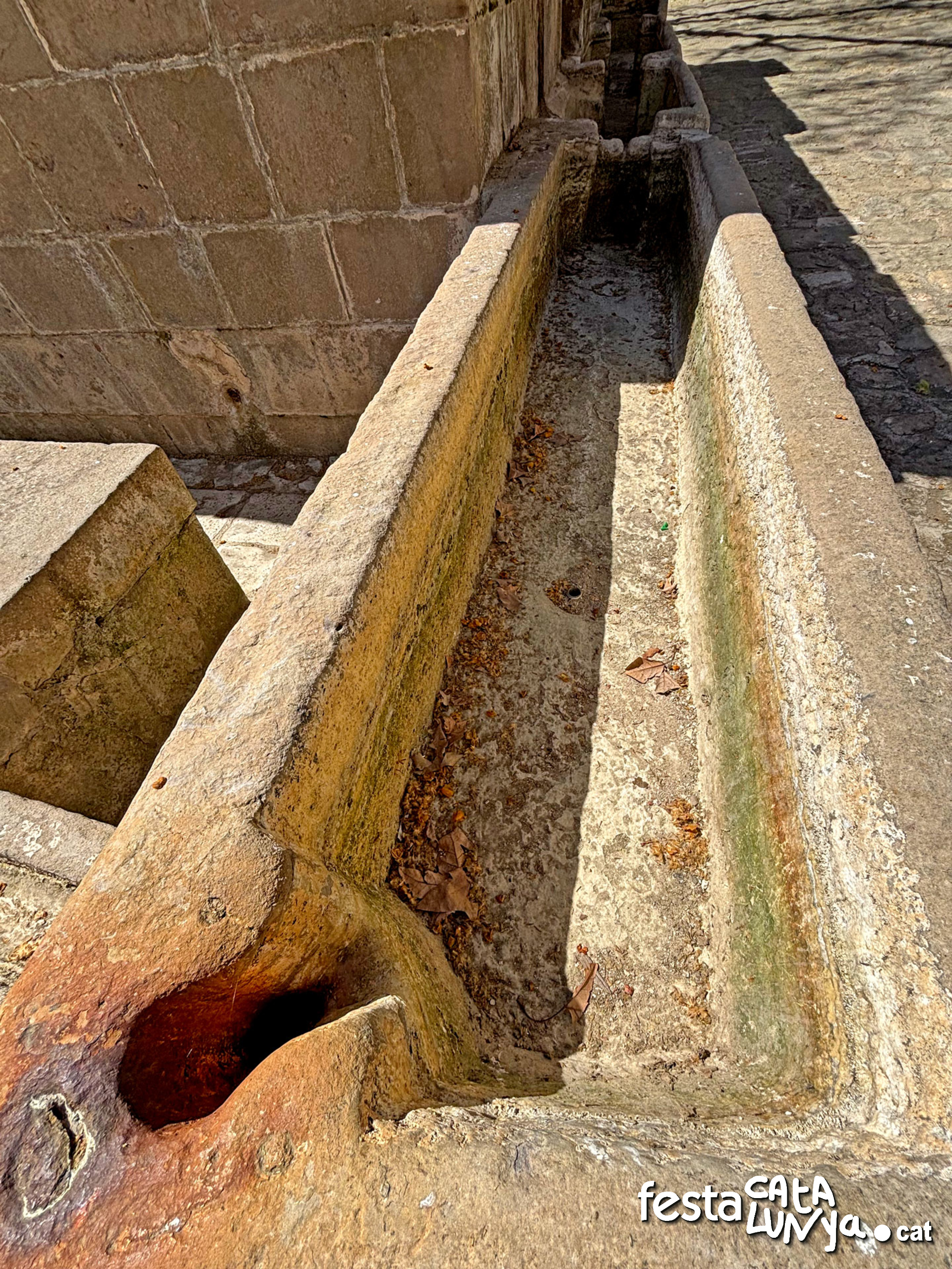 Plaça de la Font i Safareigs - Torà