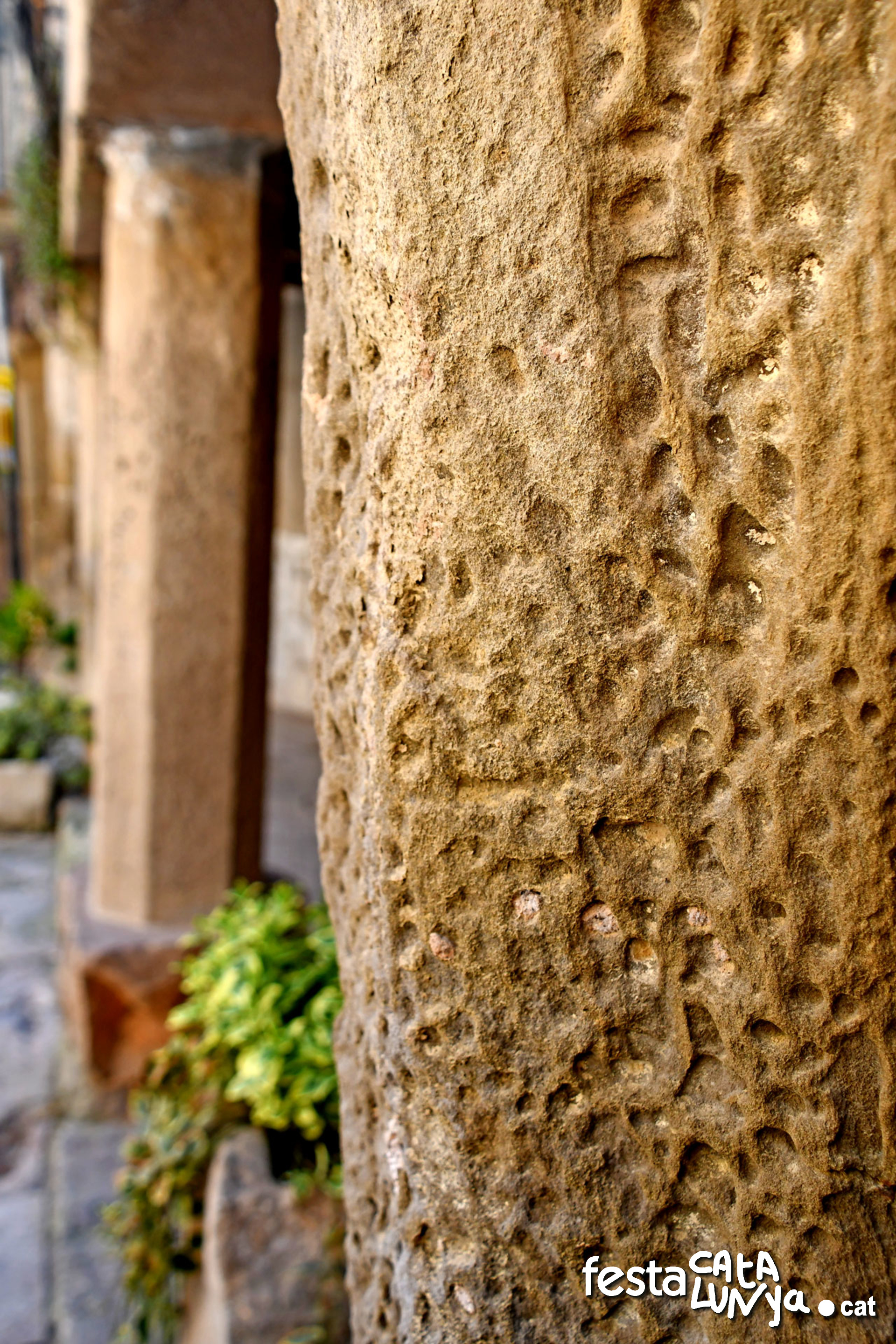 Plaça porxada de l'Església - Torà