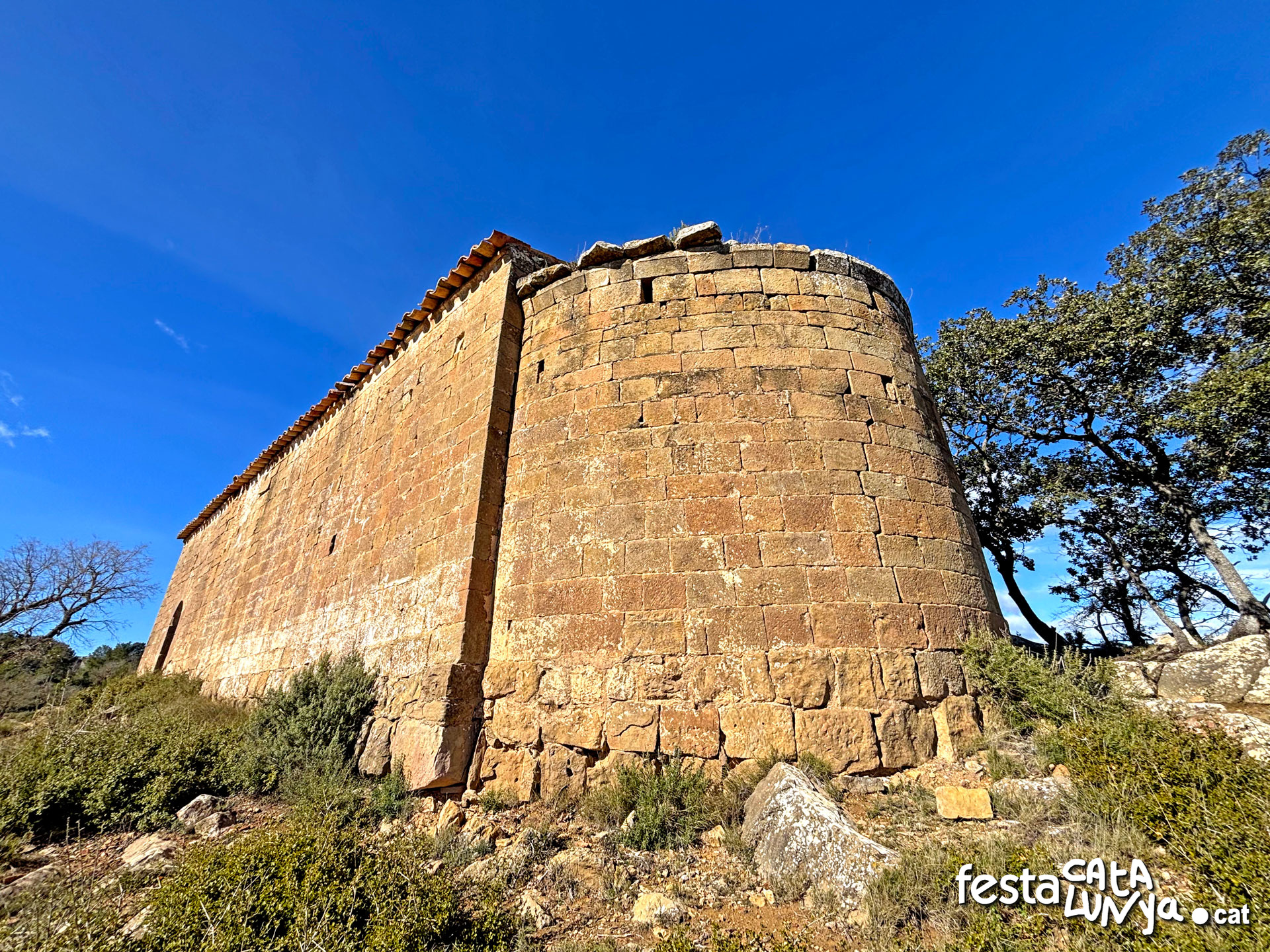 Sant Salvador de l'Aguda - Torà