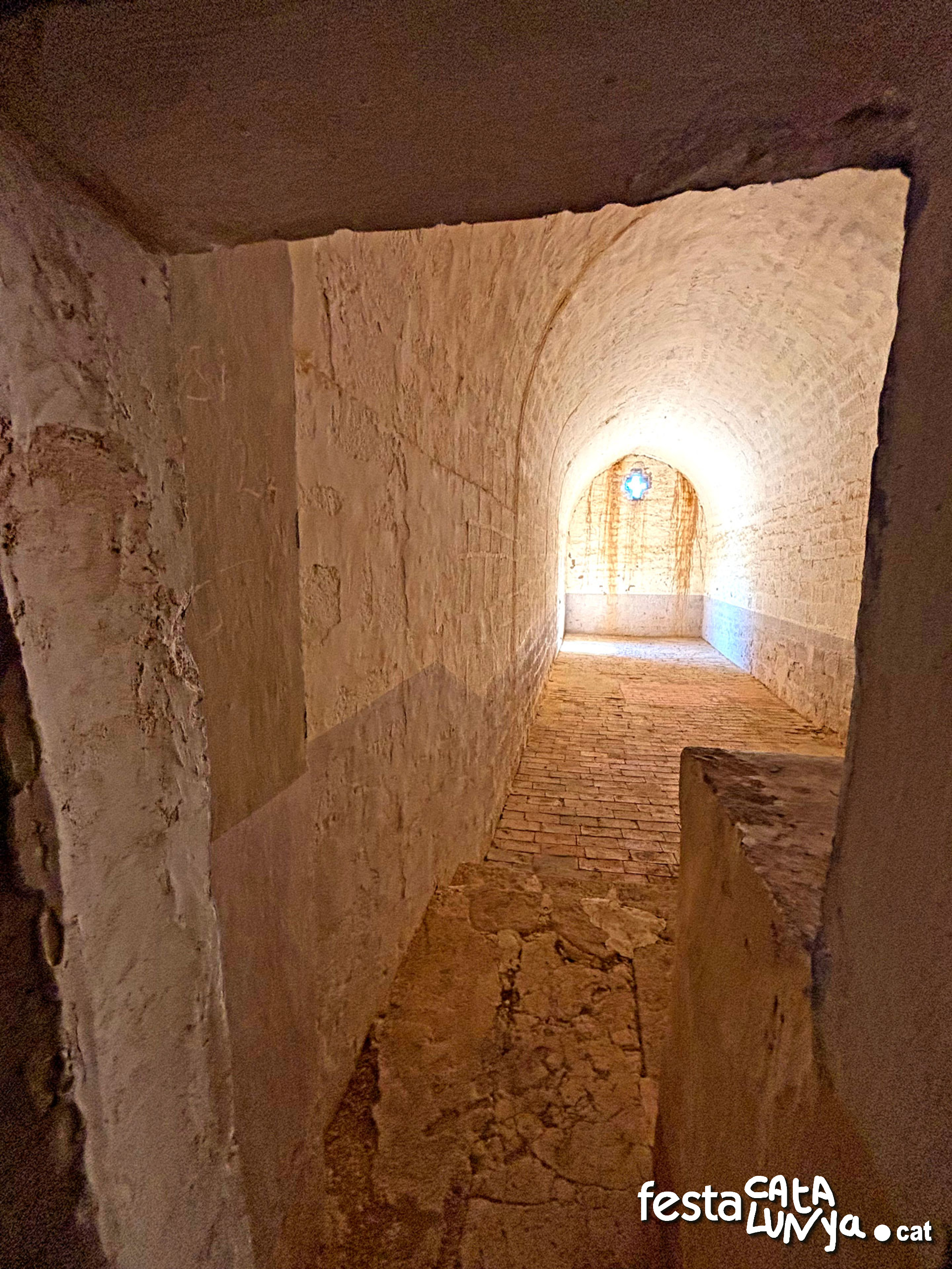 Sant Salvador de l'Aguda - Torà