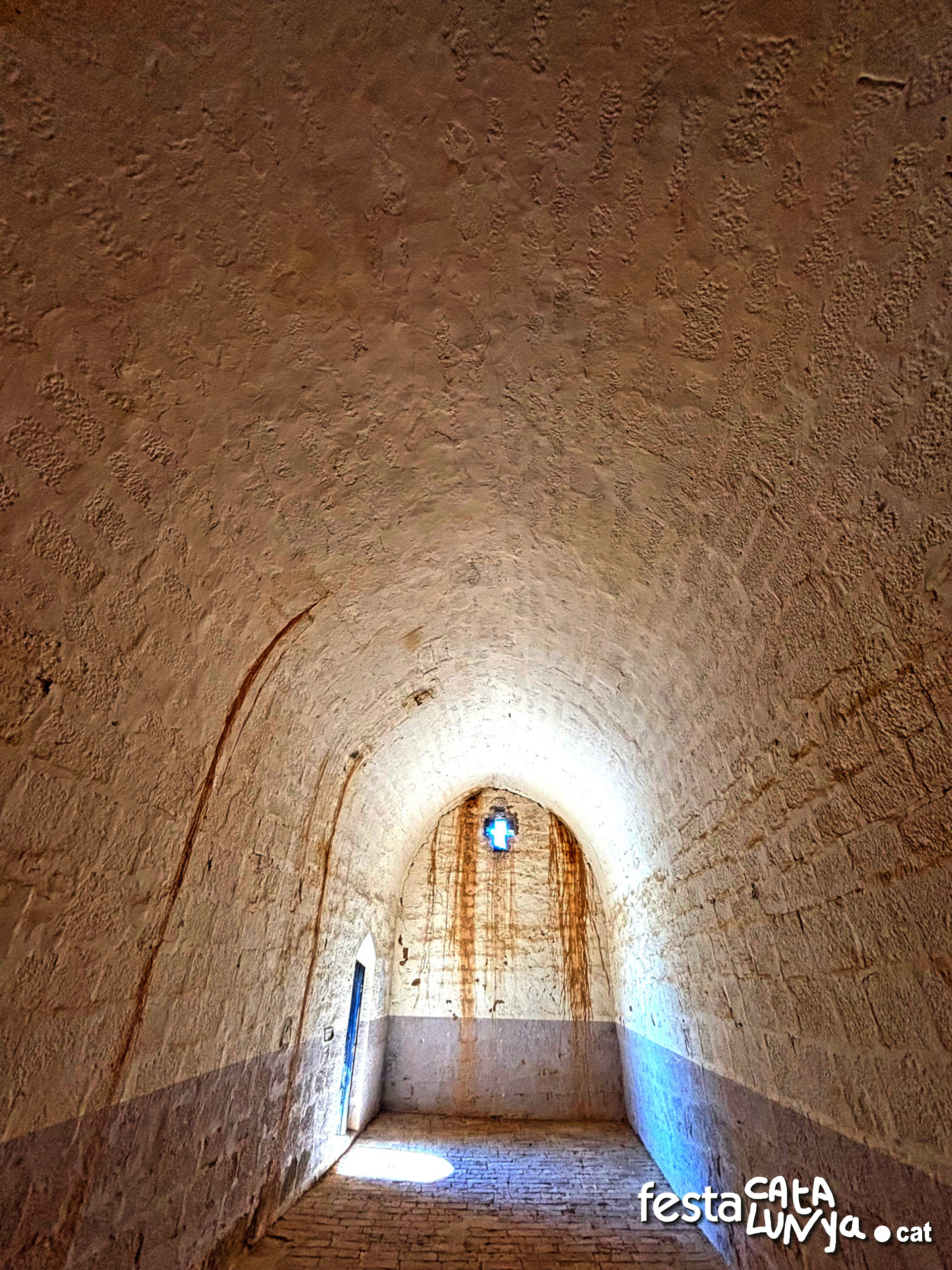 Sant Salvador de l'Aguda - Torà