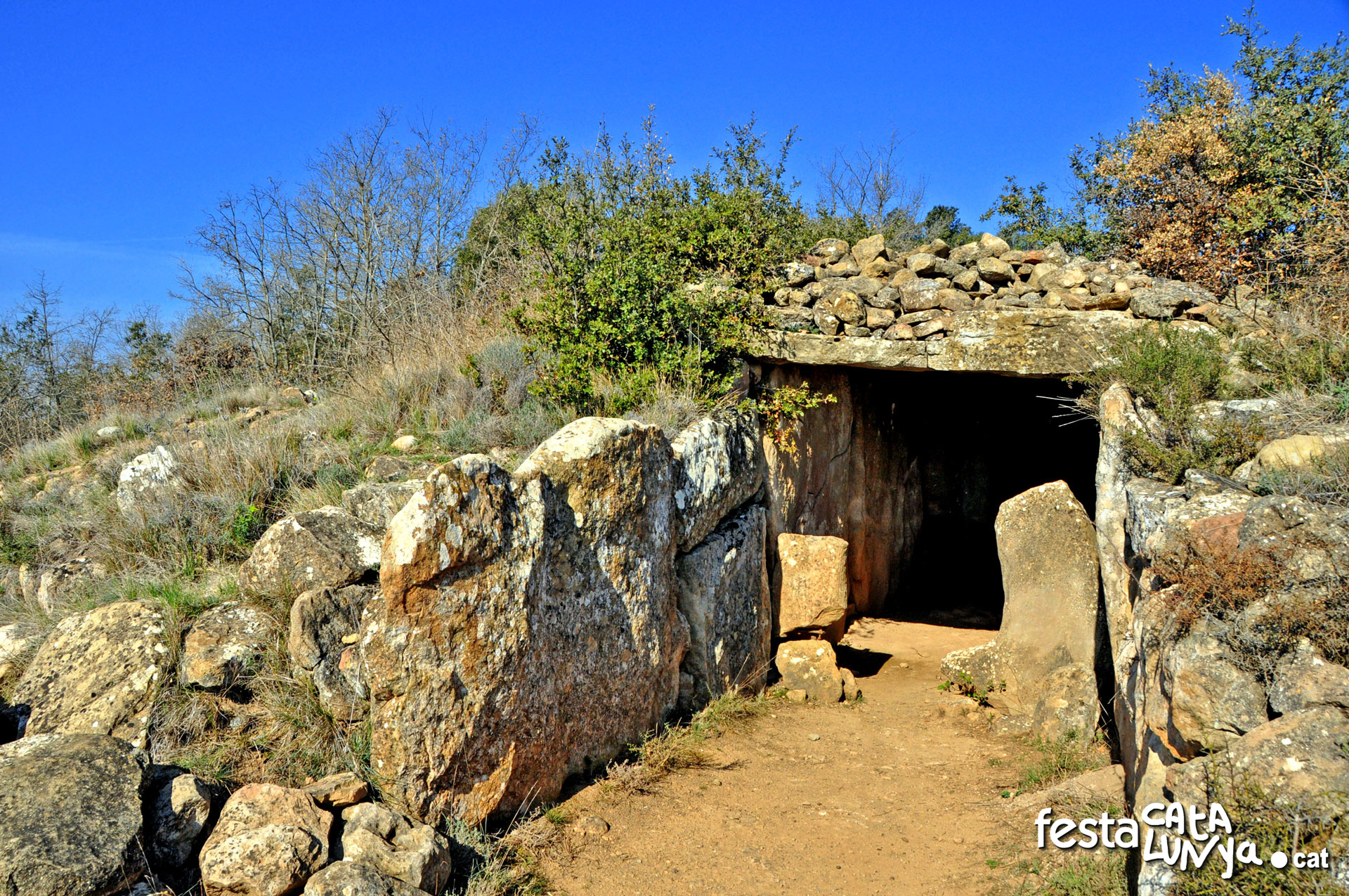 Dolmen de Llanera o de la Torre dels Moros - Torà
