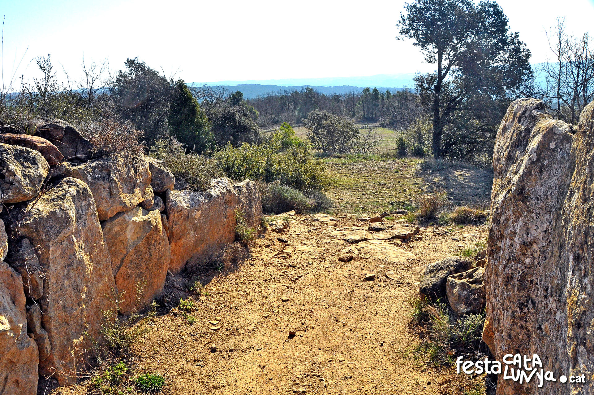 Dolmen de Llanera o de la Torre dels Moros - Torà