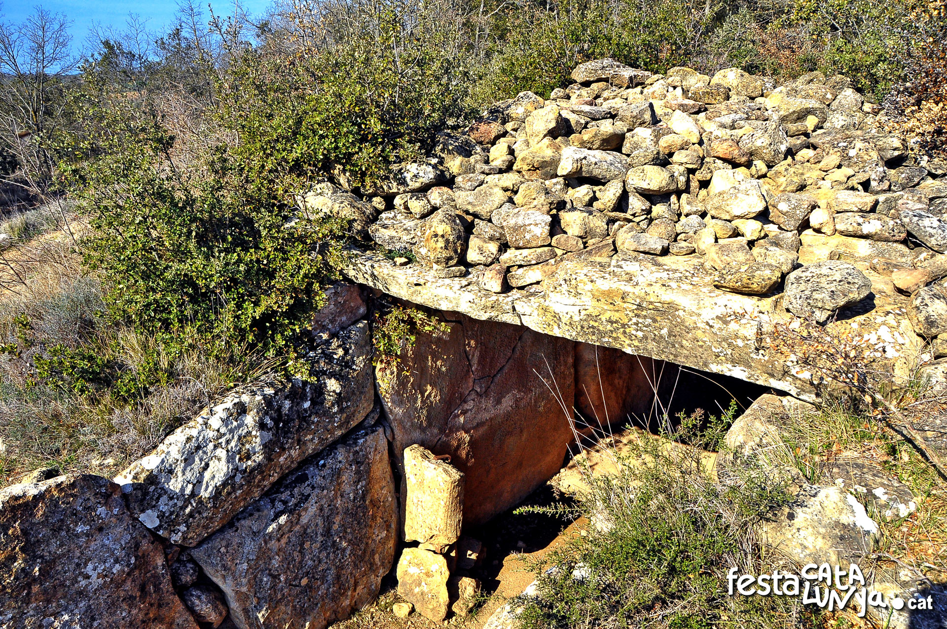 Dolmen de Llanera o de la Torre dels Moros - Torà