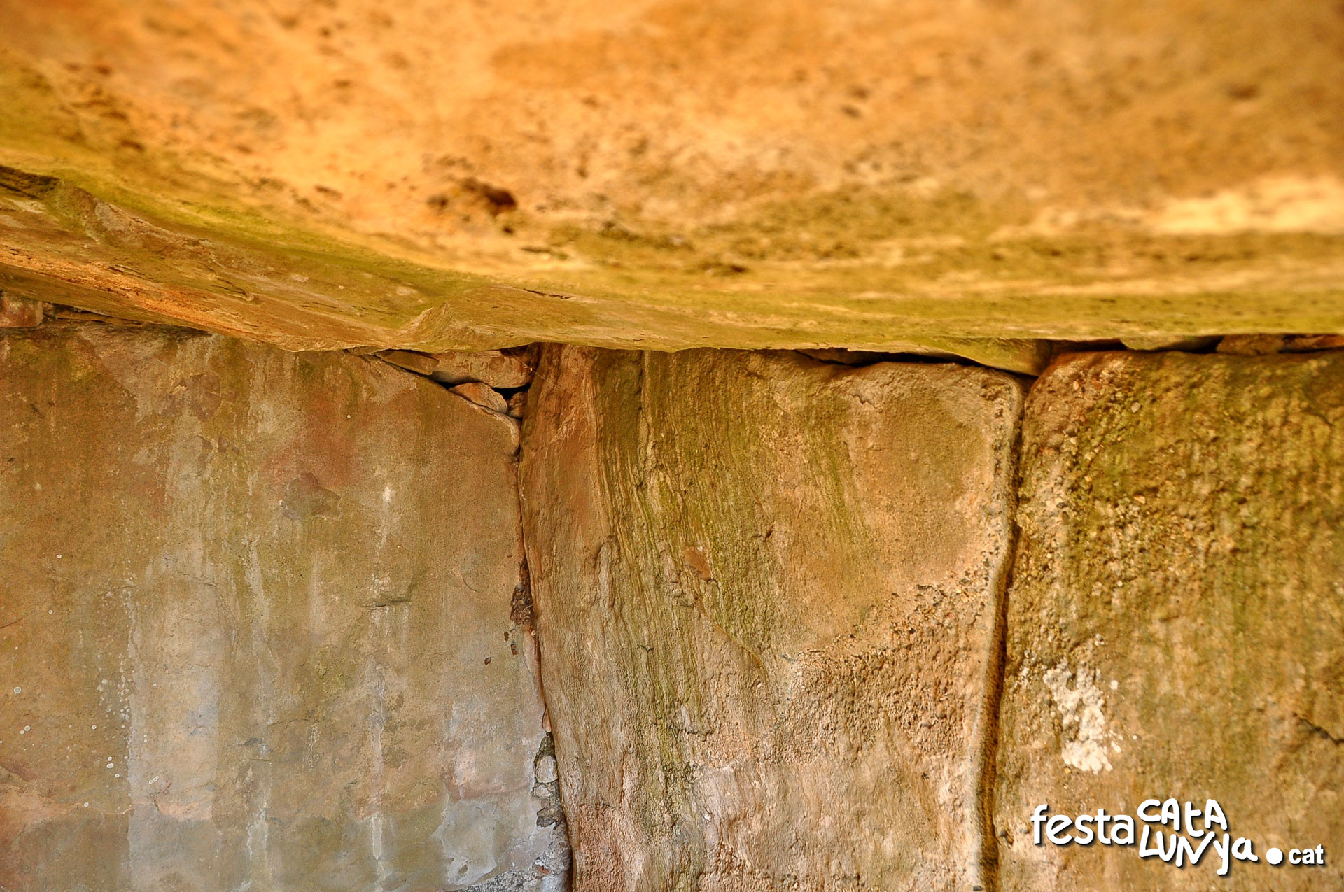 Dolmen de Llanera o de la Torre dels Moros - Torà